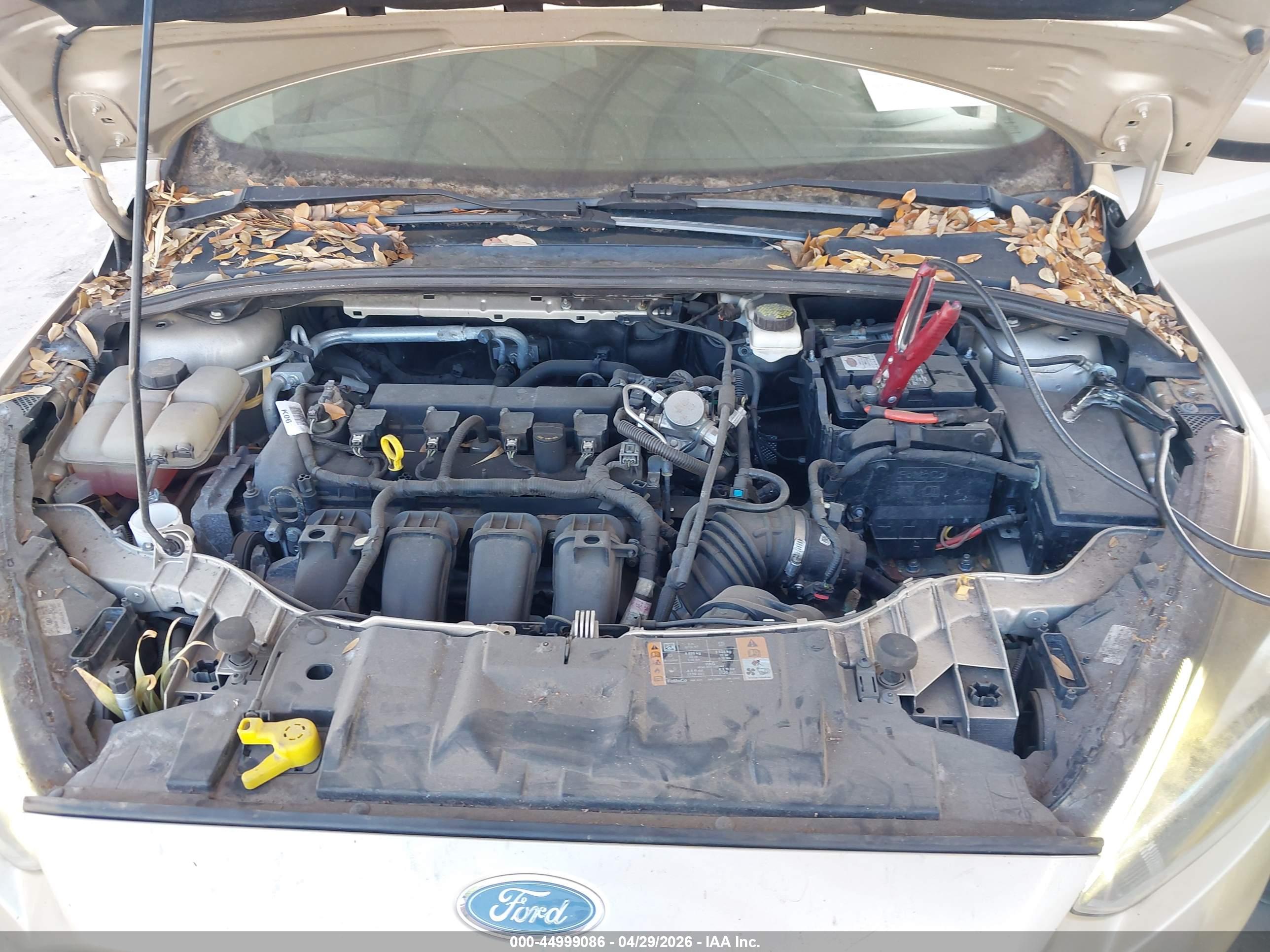 FORD FOCUS image 10