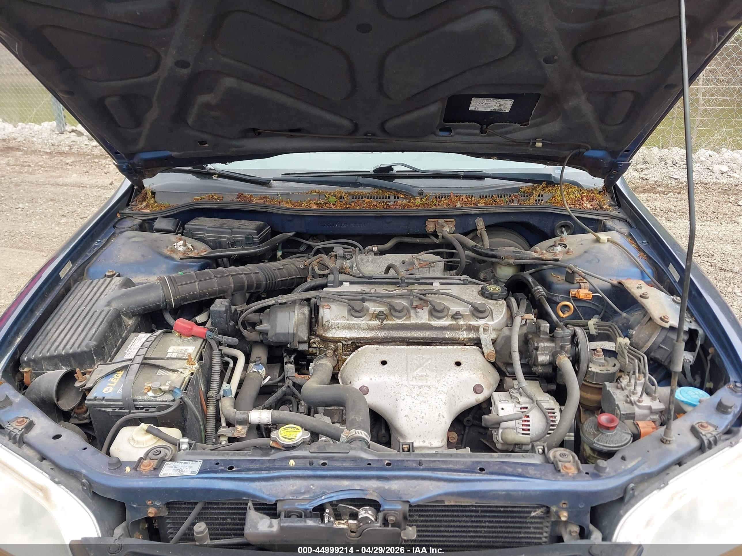 HONDA ACCORD image 10
