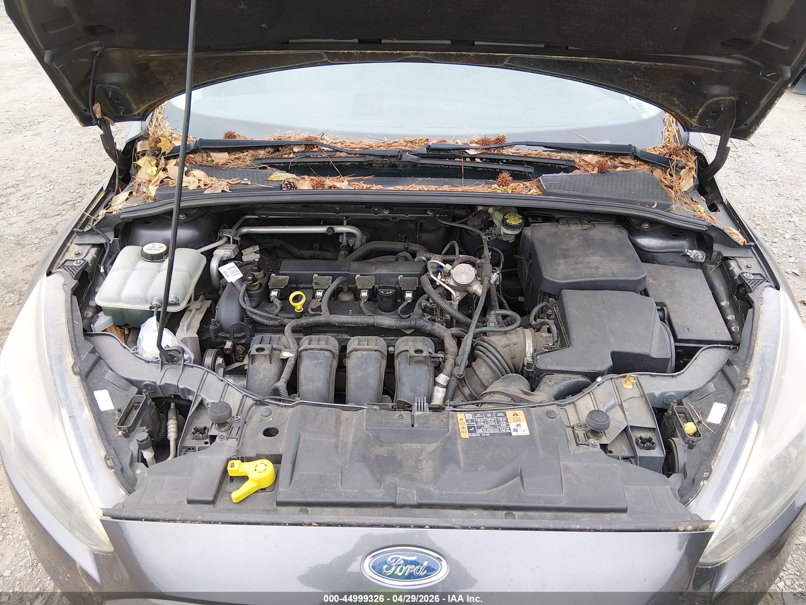 FORD FOCUS image 10