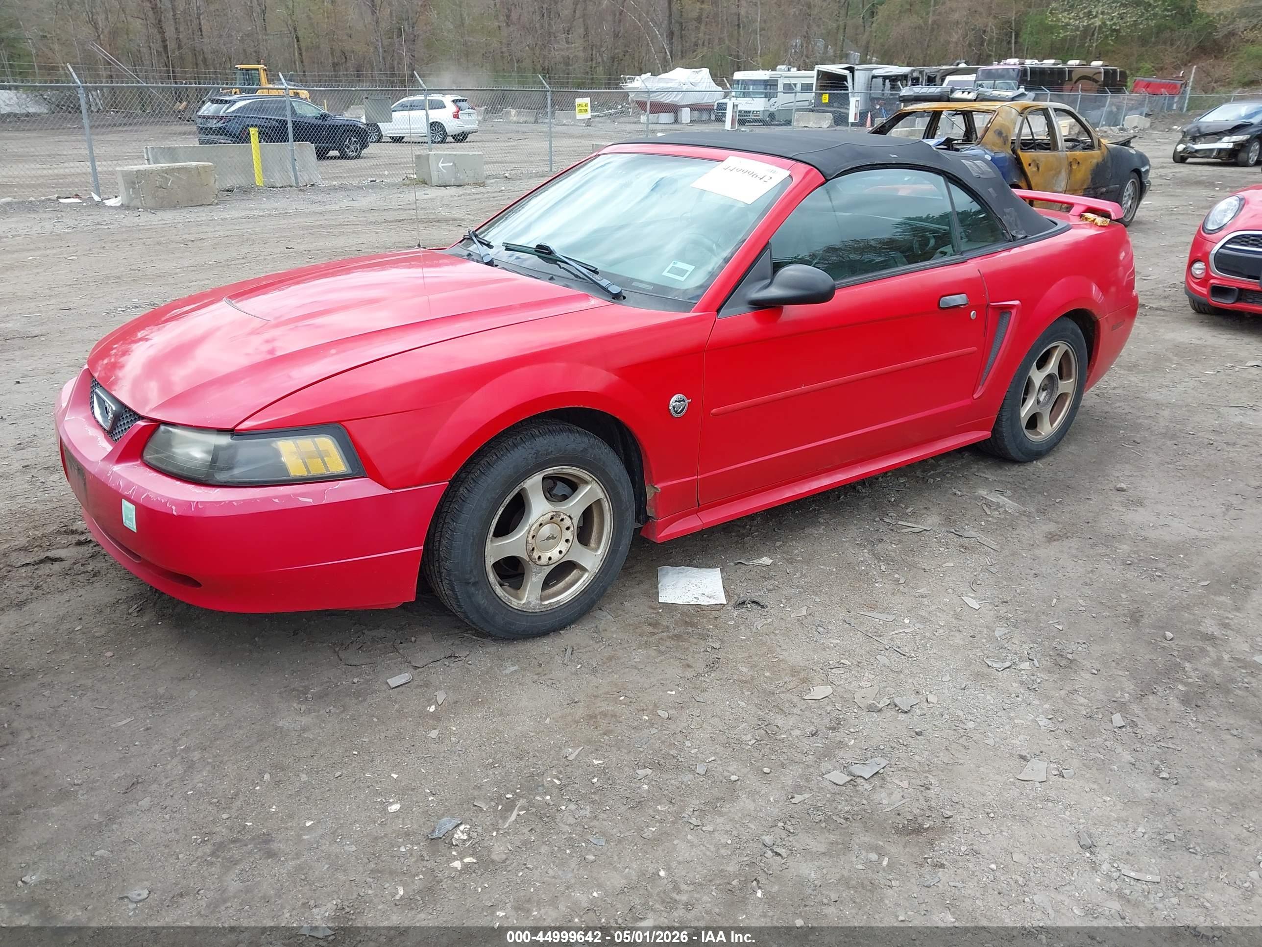 FORD MUSTANG image 2