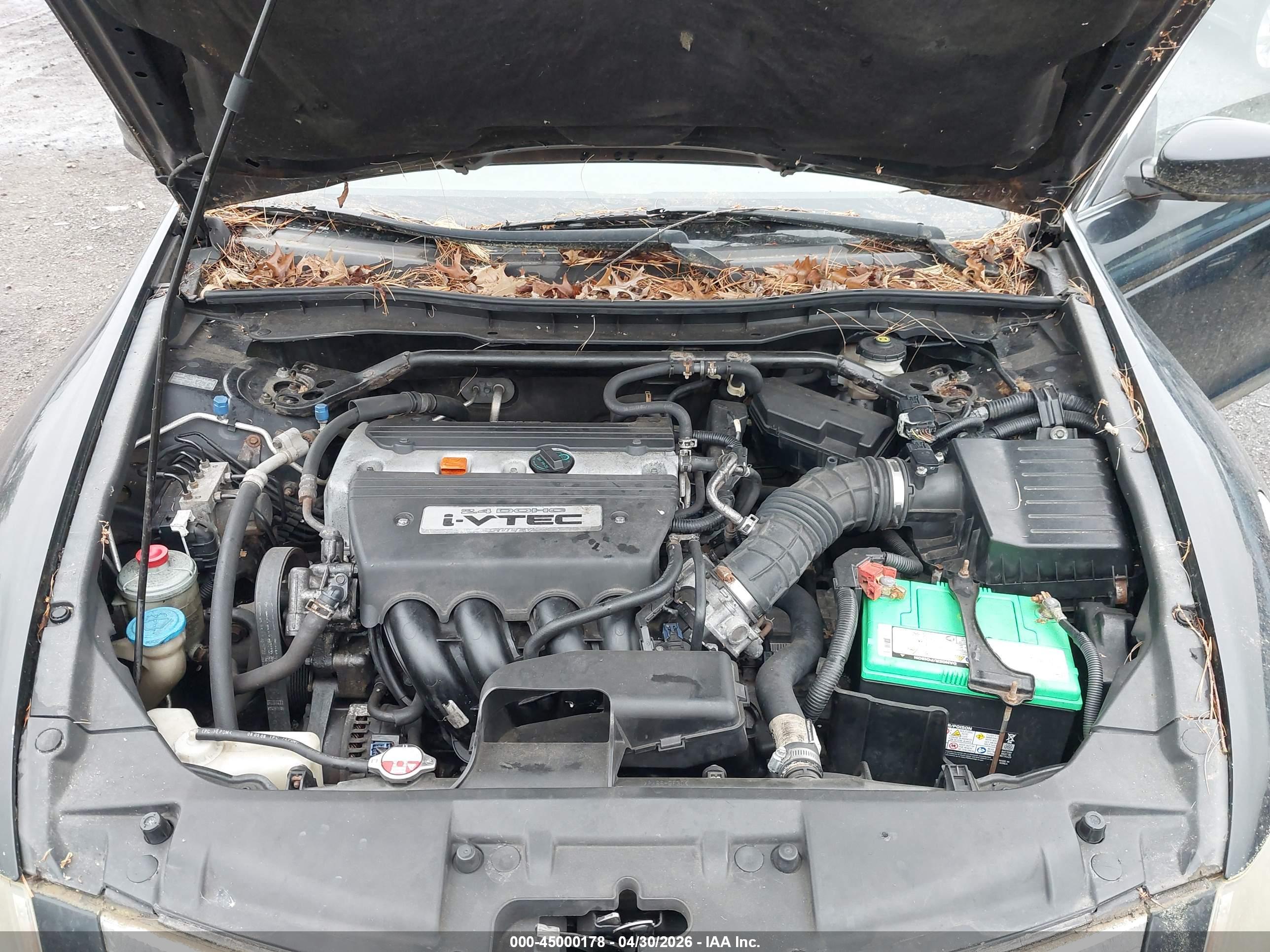 HONDA ACCORD image 10
