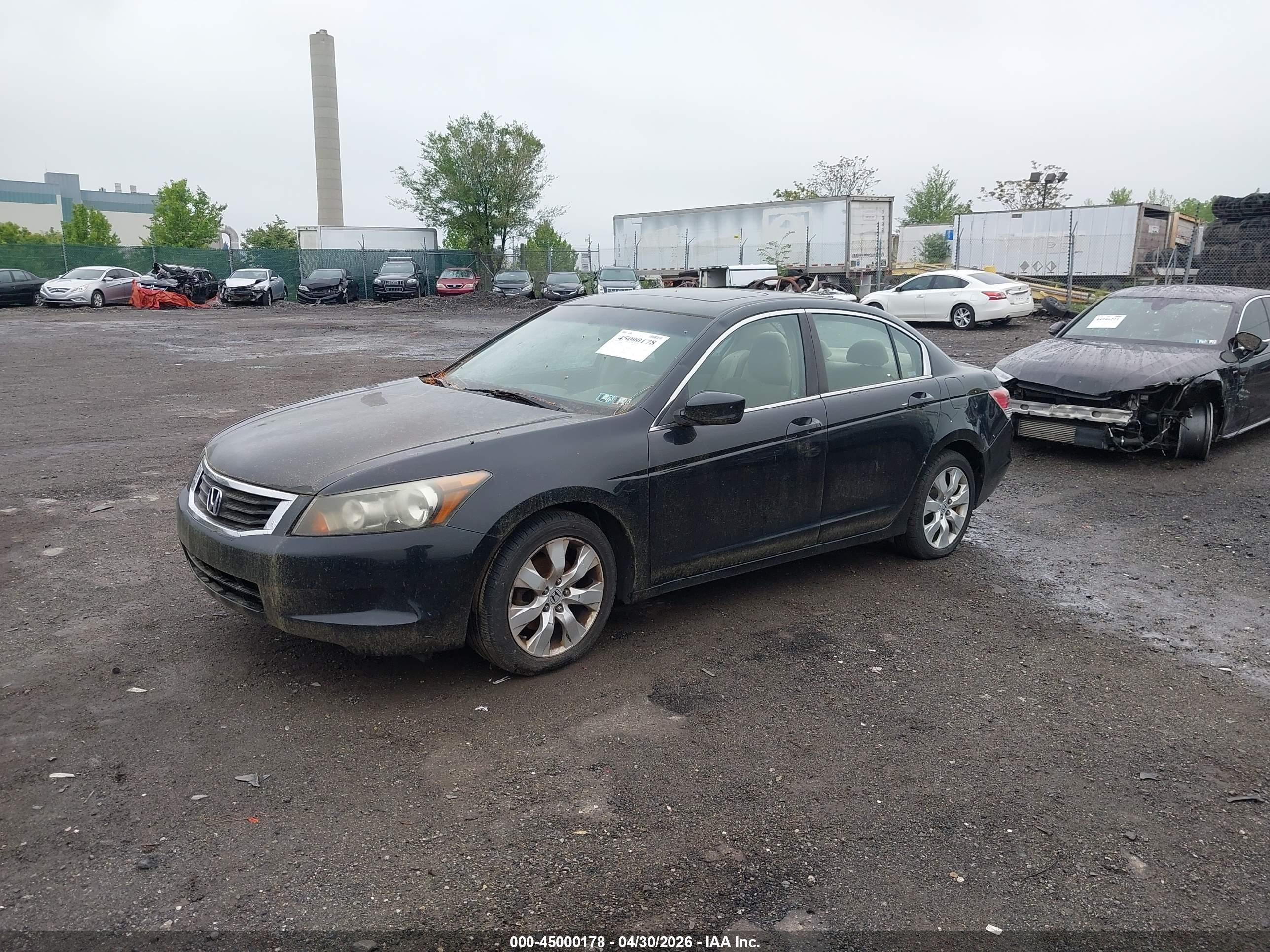 HONDA ACCORD image 2