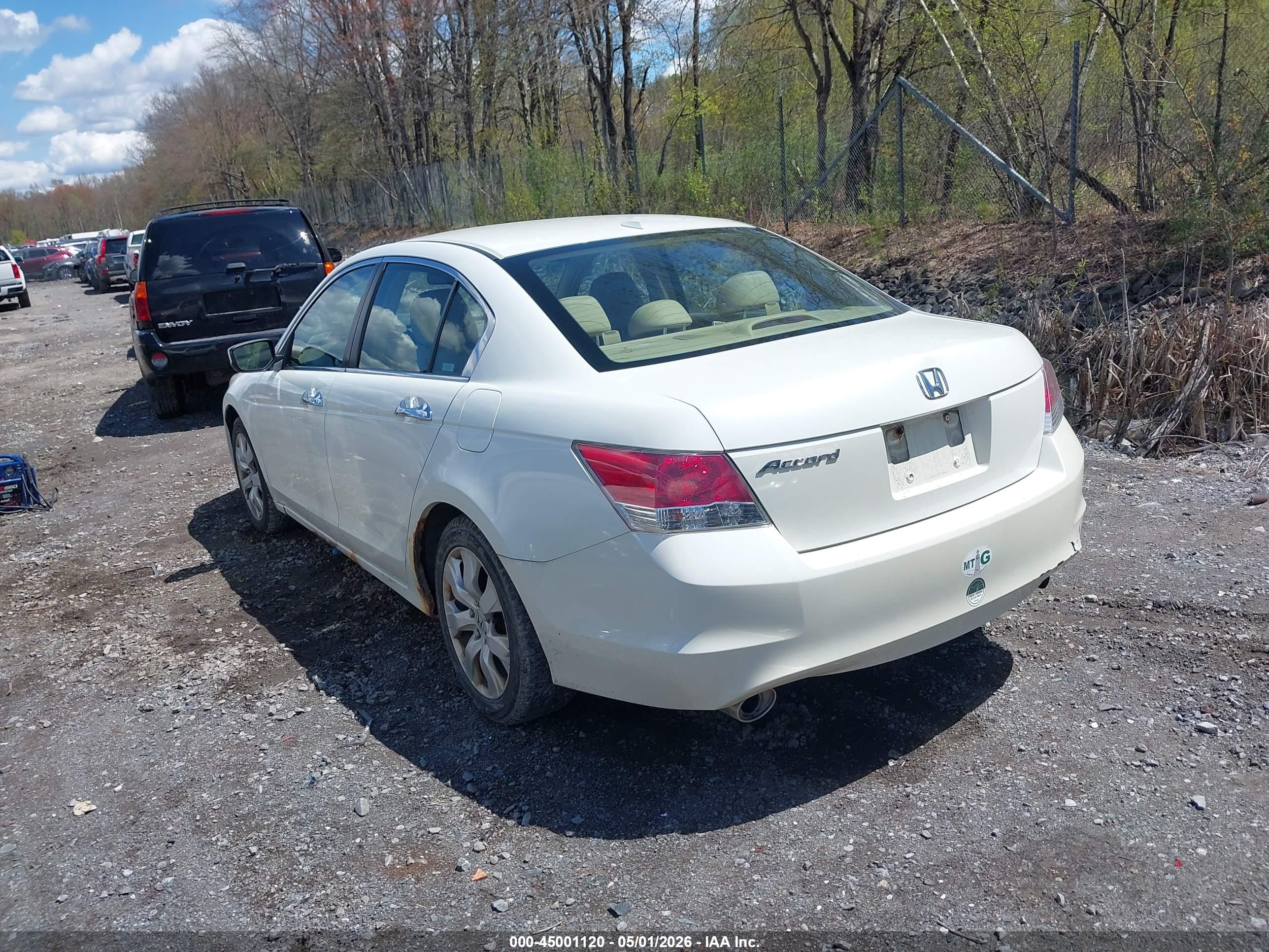 HONDA ACCORD image 3