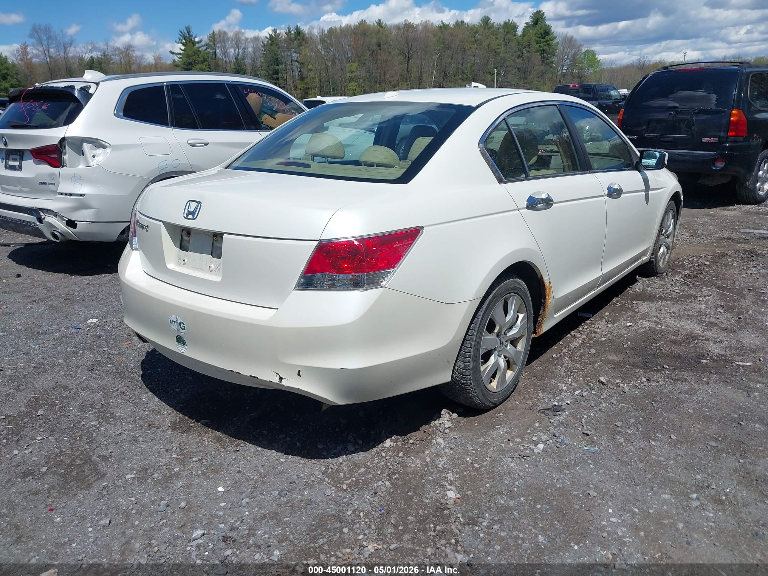 HONDA ACCORD image 4