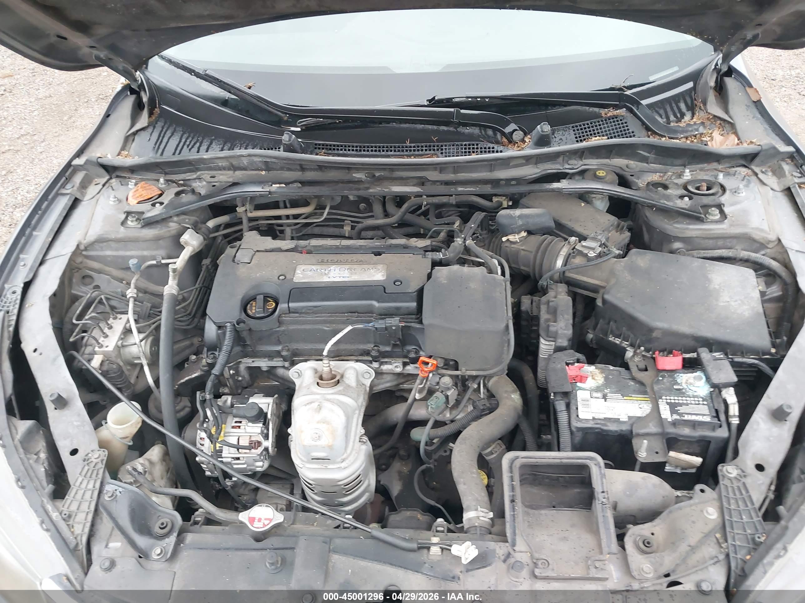 HONDA ACCORD image 10