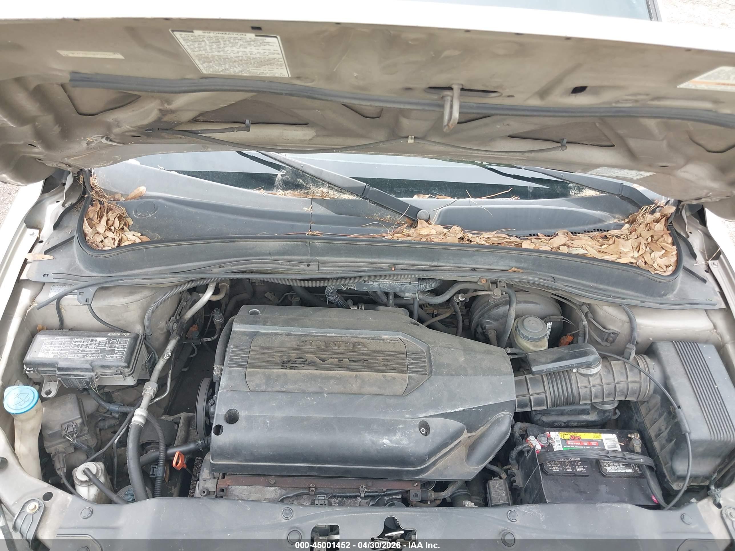 HONDA PILOT image 10
