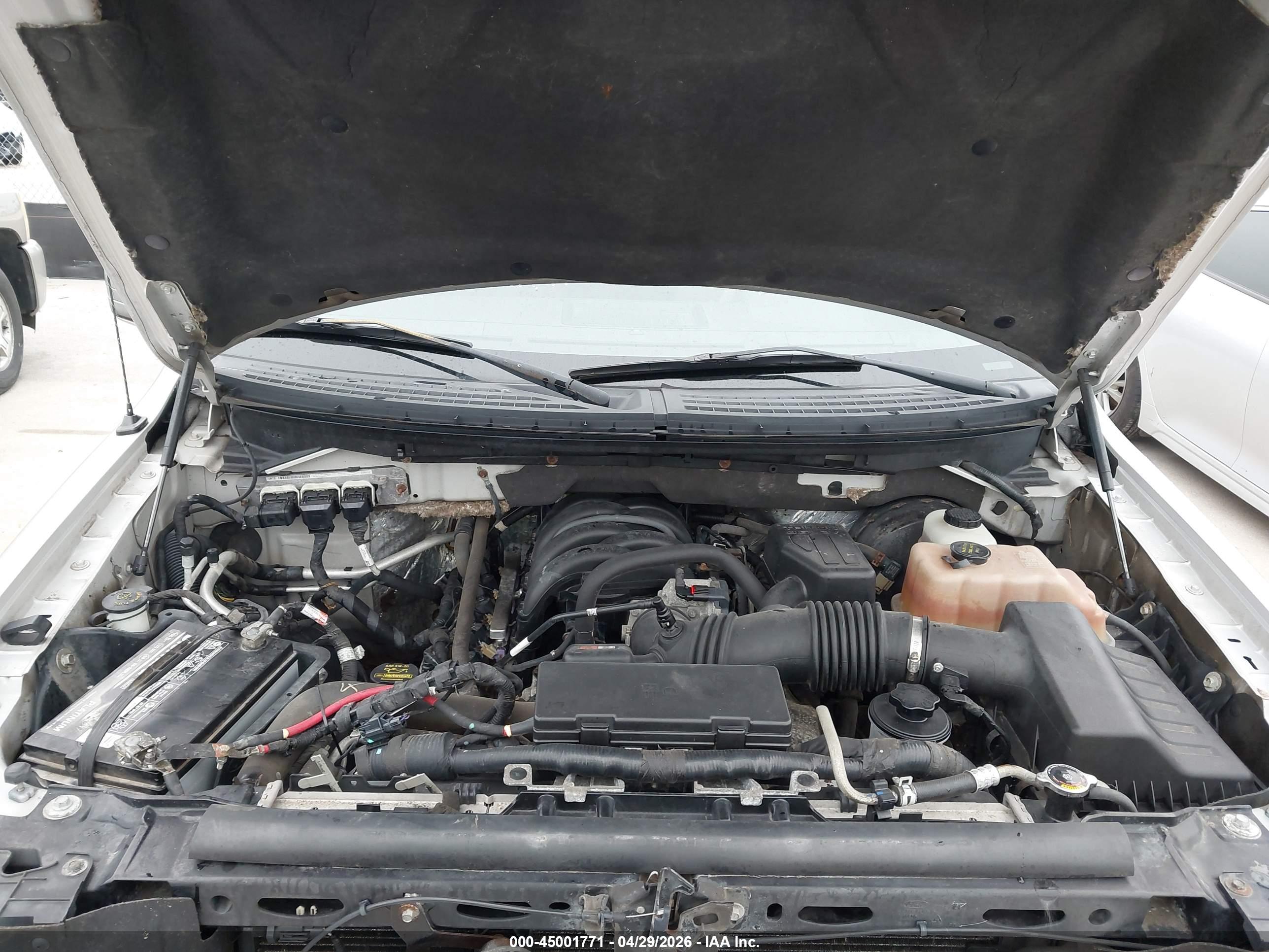 FORD F-150 image 10