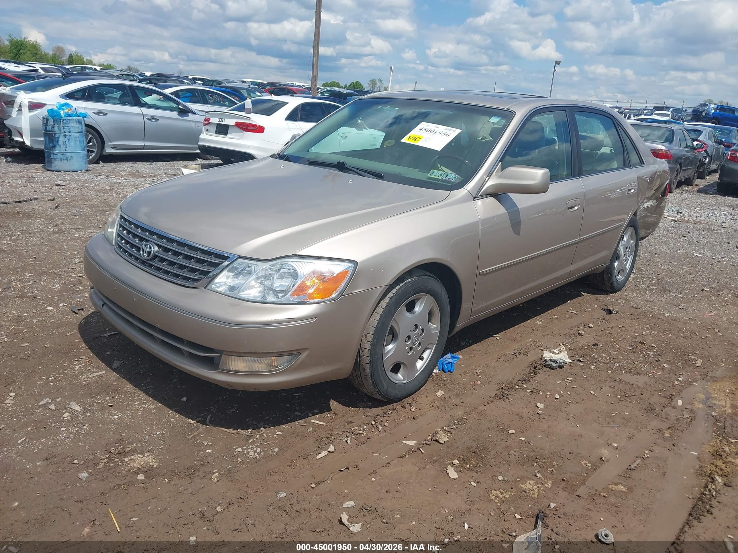 TOYOTA AVALON image 2