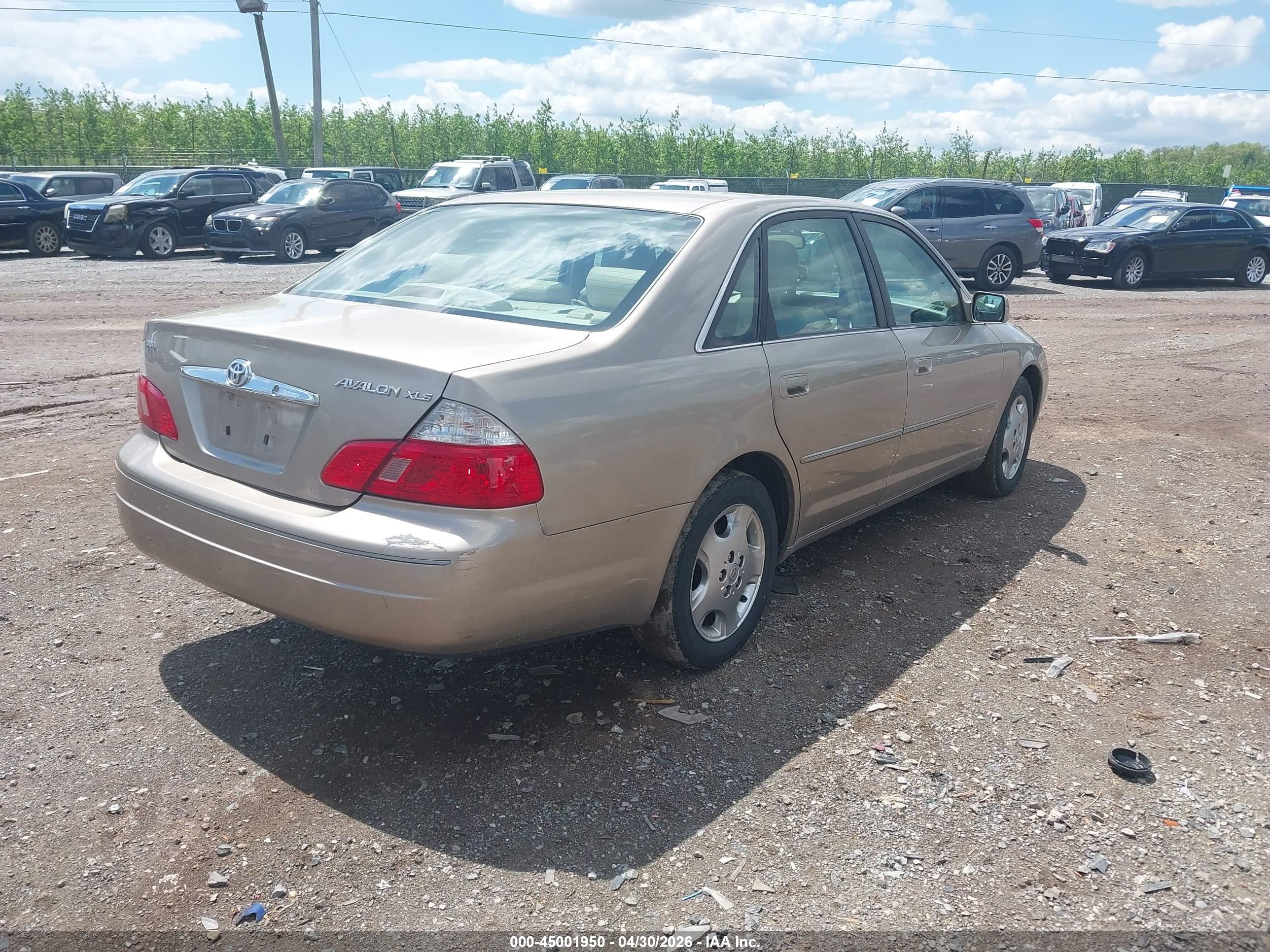 TOYOTA AVALON image 4