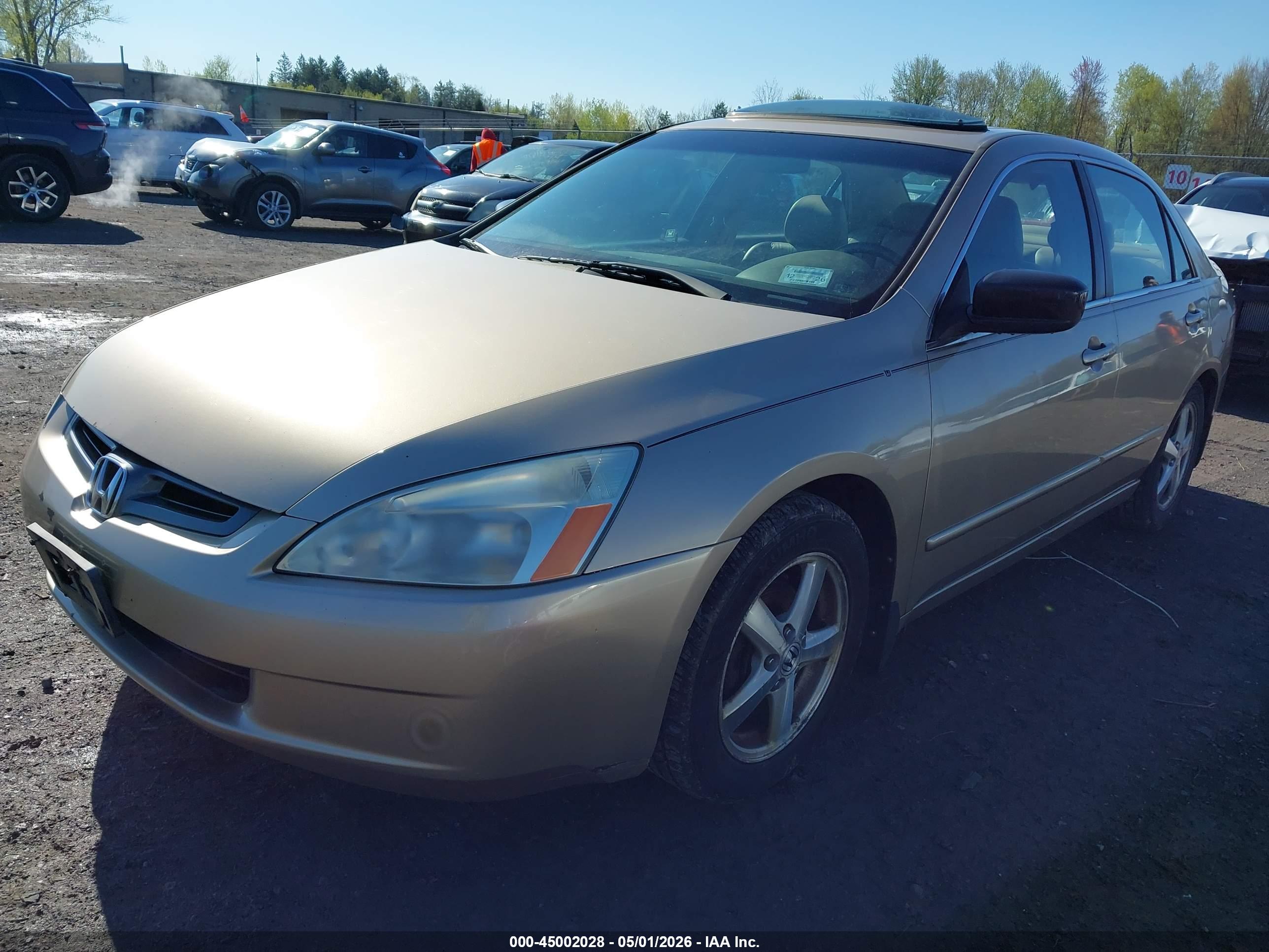 HONDA ACCORD image 2