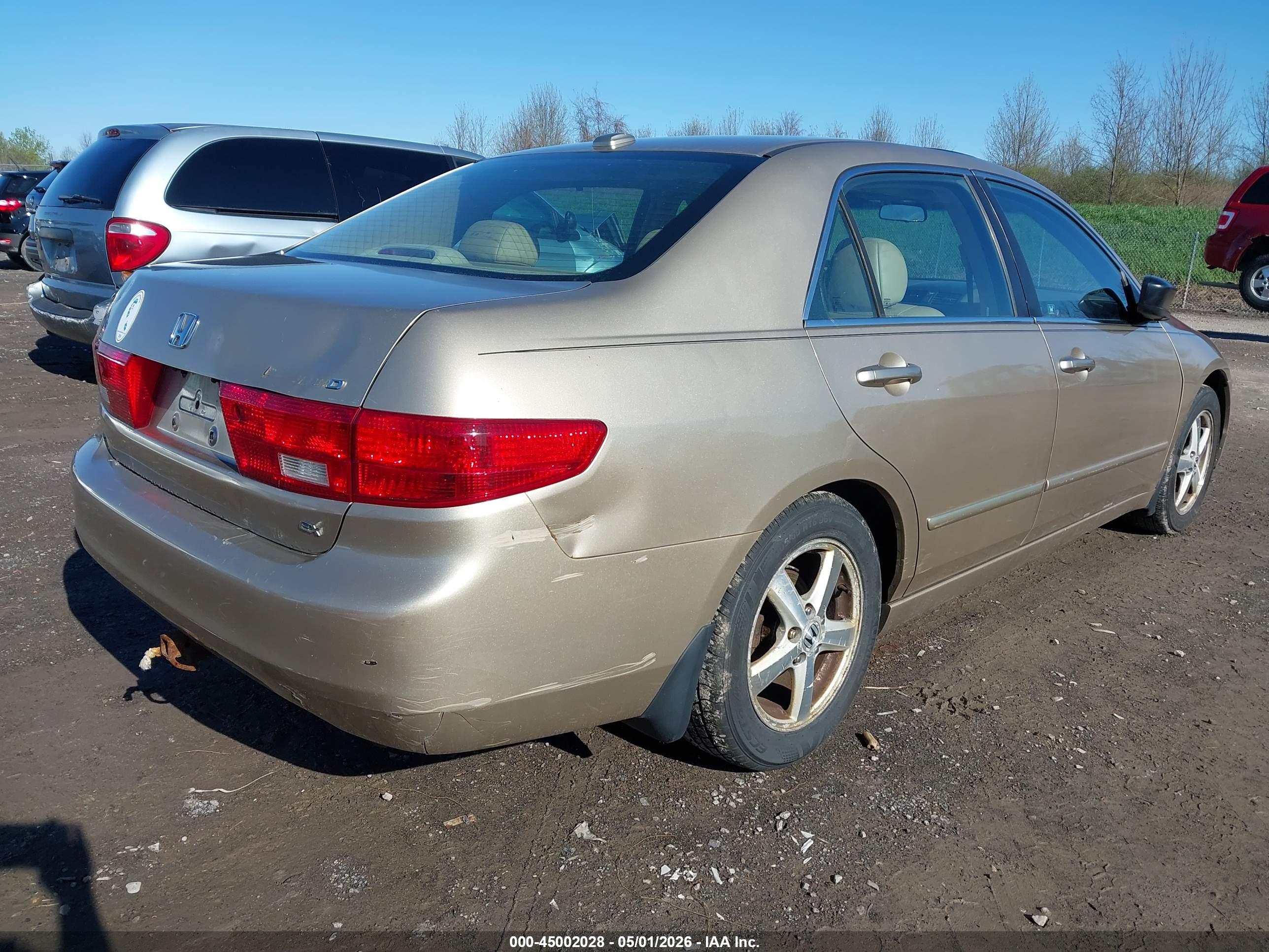 HONDA ACCORD image 4