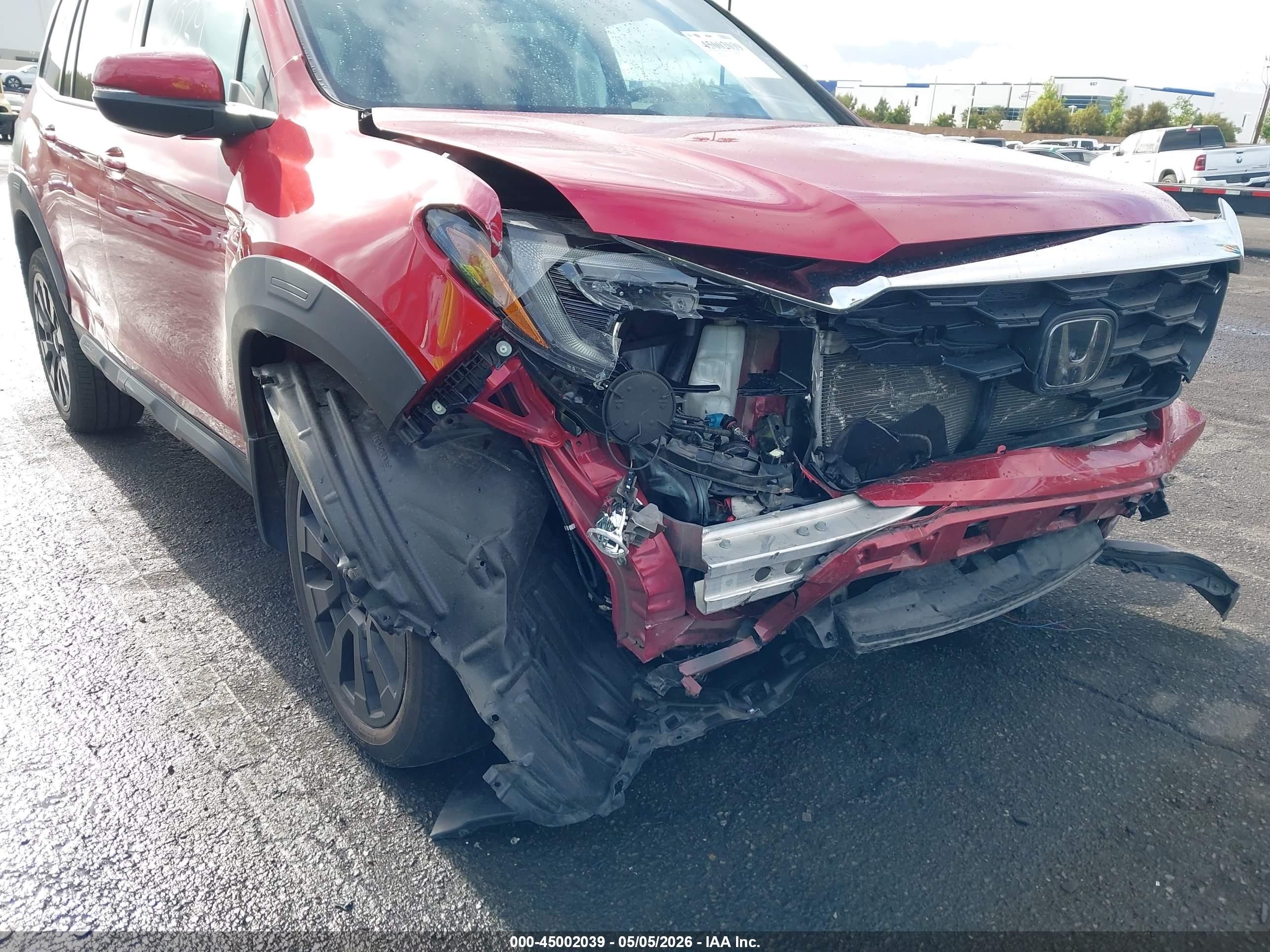 HONDA PASSPORT image 6