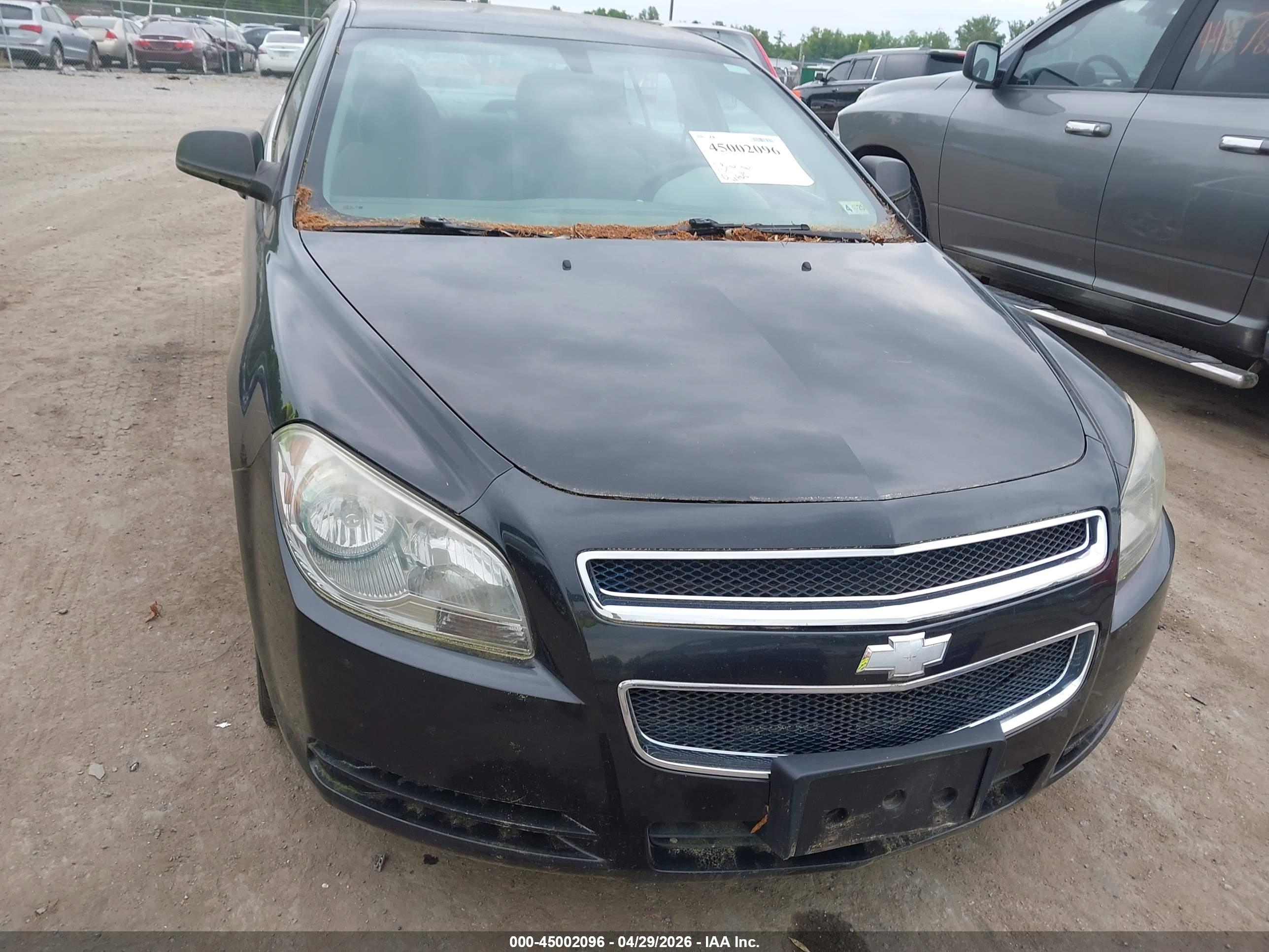 CHEVROLET MALIBU image 6