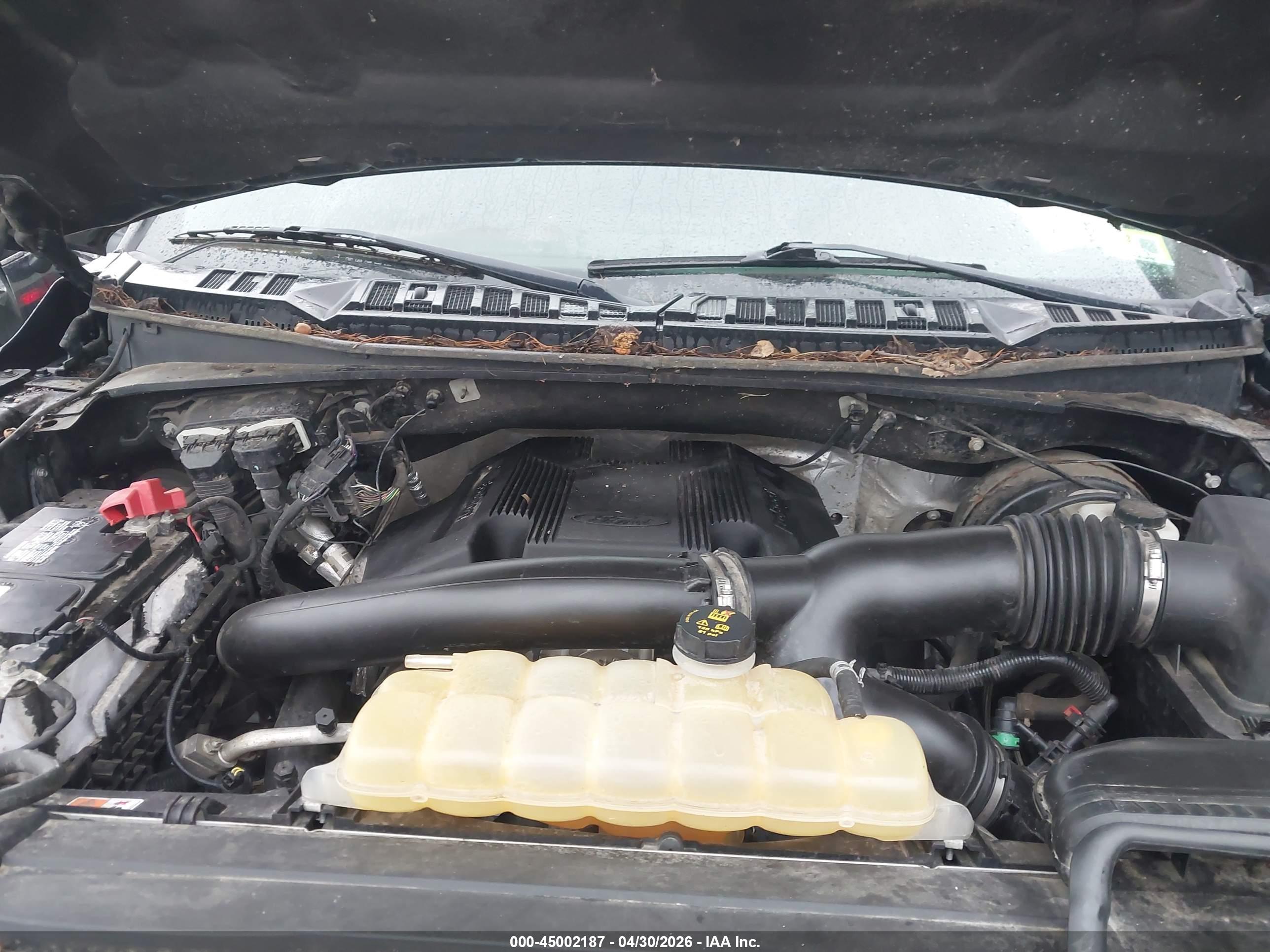 FORD F-150 image 10