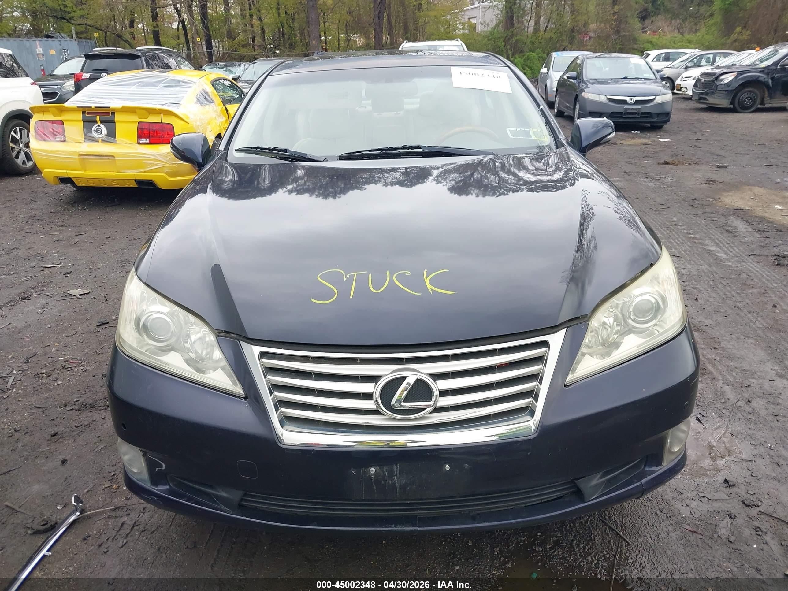LEXUS ES image 6