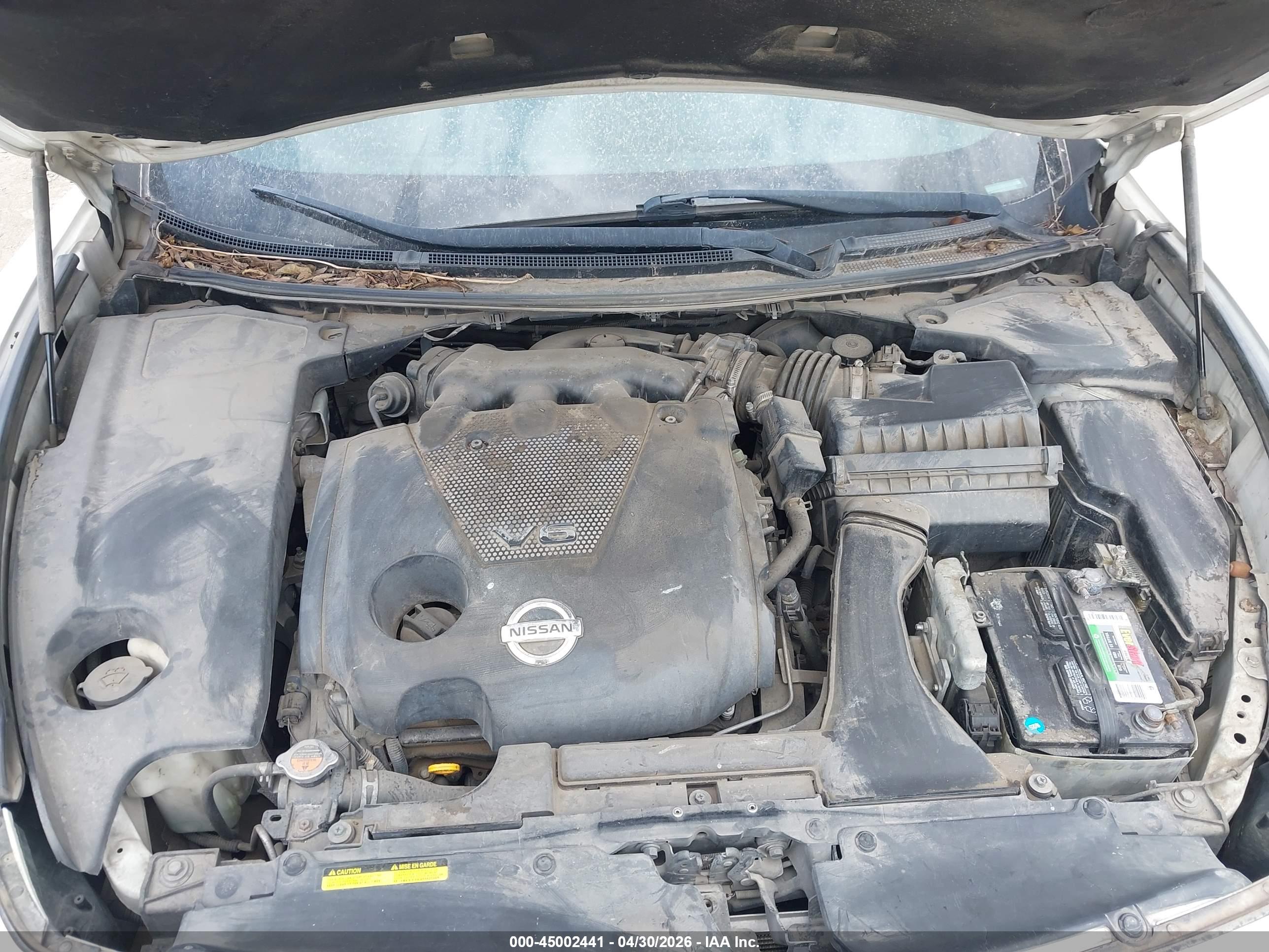 NISSAN MAXIMA image 10