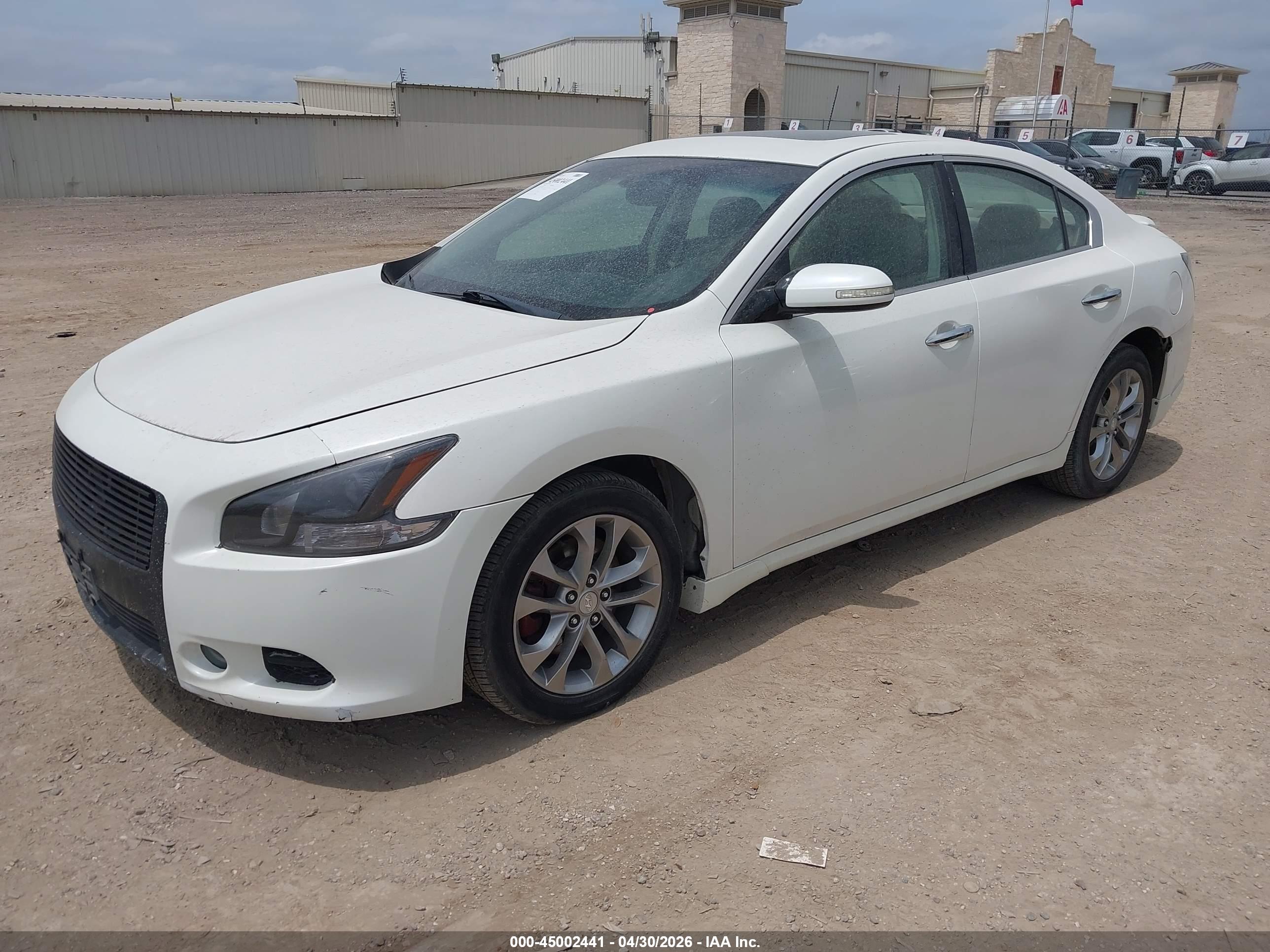 NISSAN MAXIMA image 2