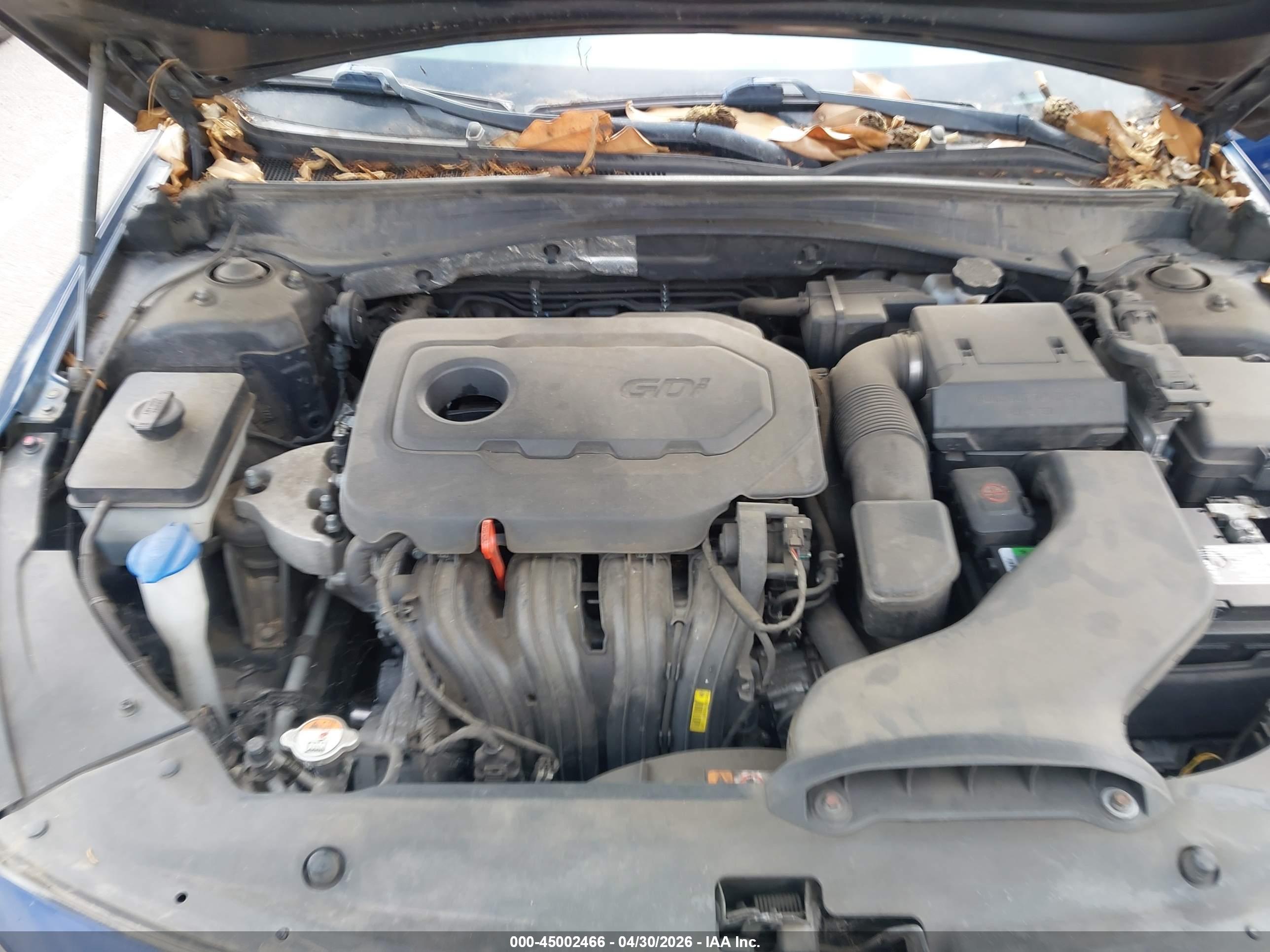 KIA OPTIMA image 10