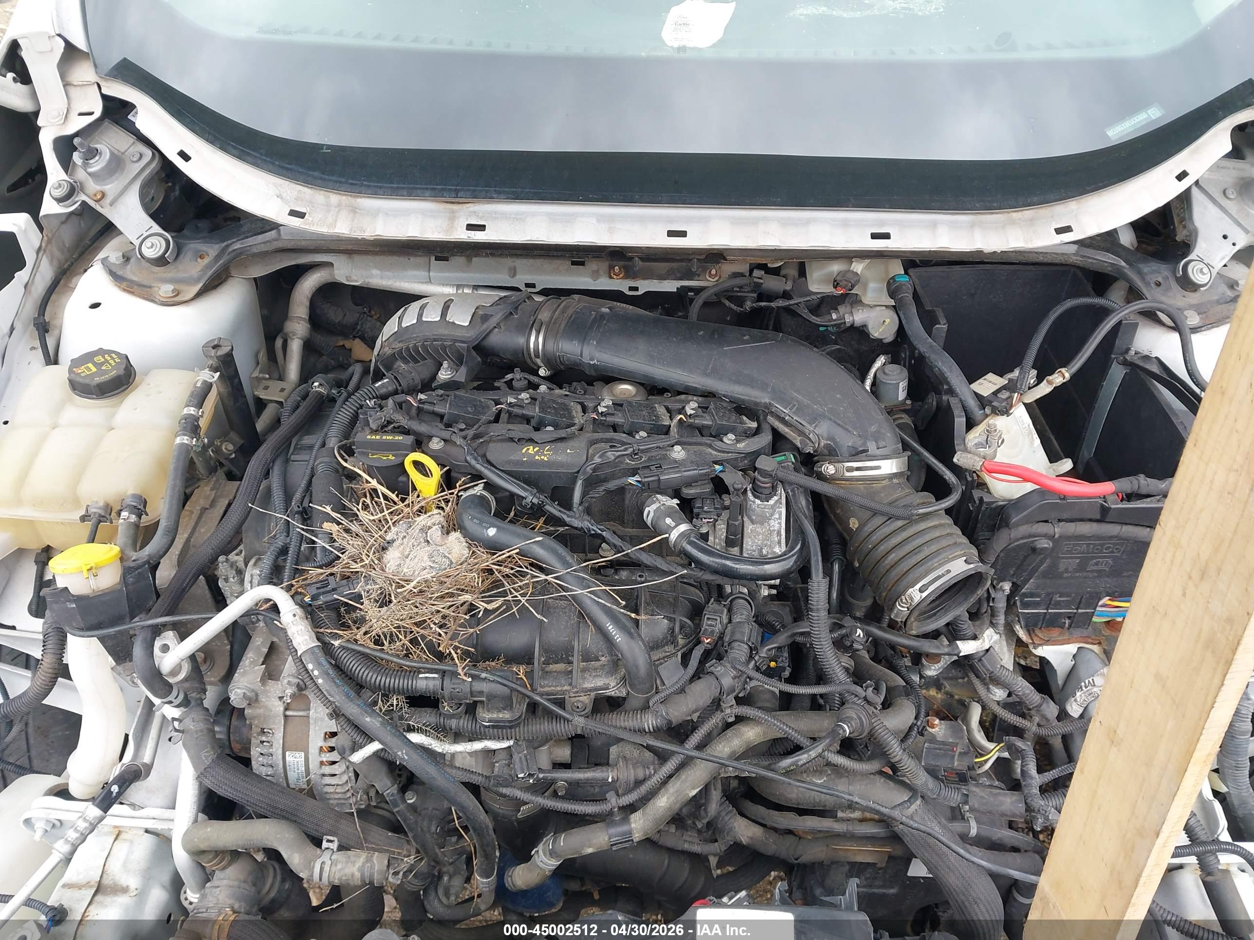 FORD ESCAPE image 10