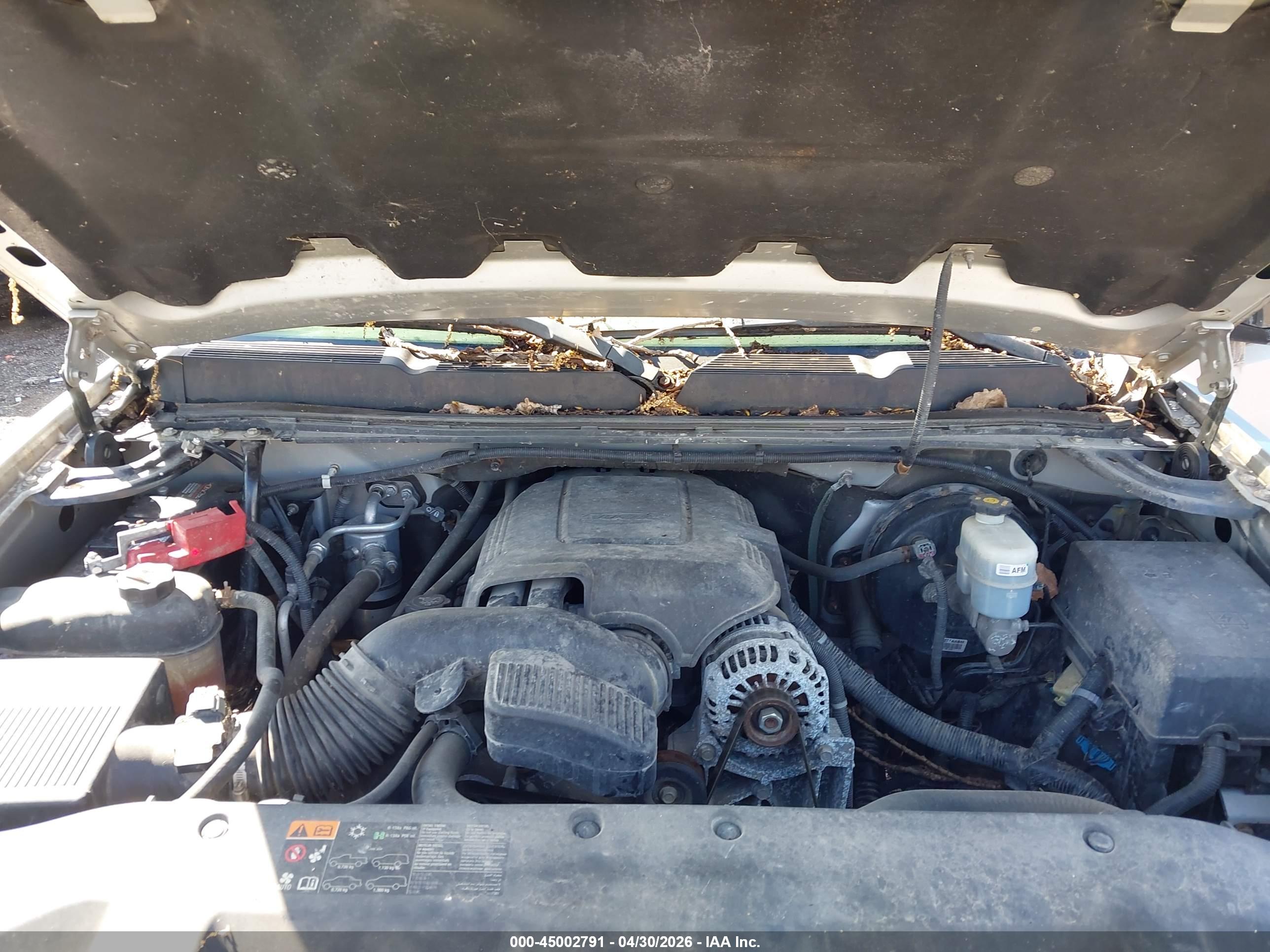 CHEVROLET SILVERADO image 10