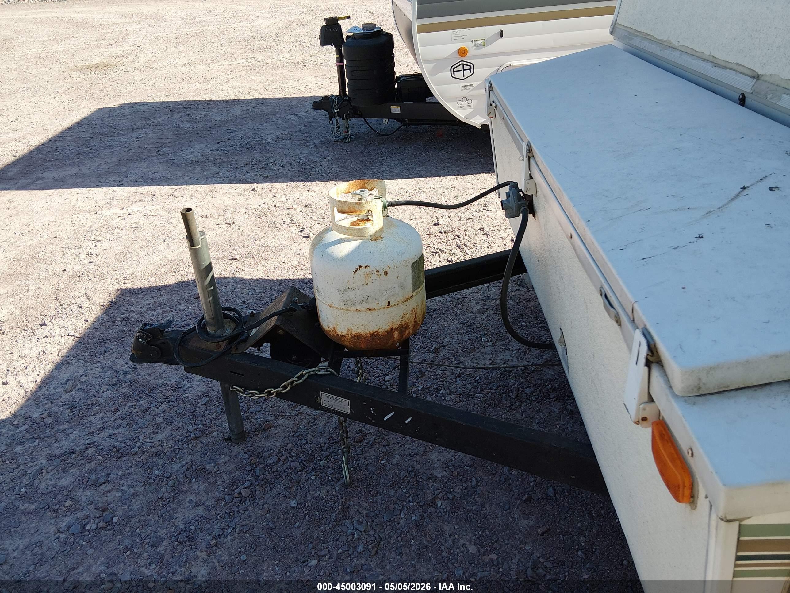 PALOMINO MUSTANG image 10