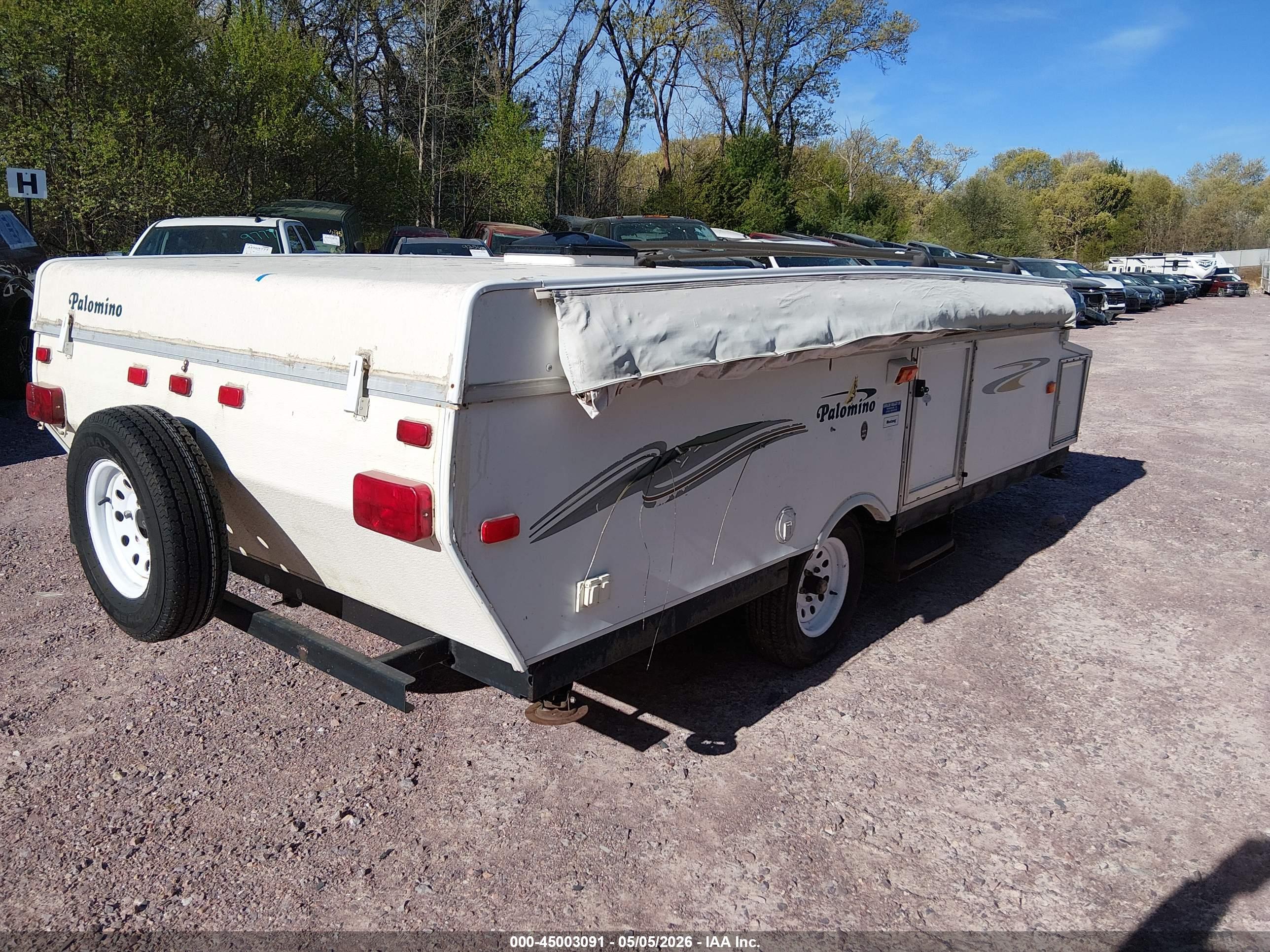 PALOMINO MUSTANG image 4