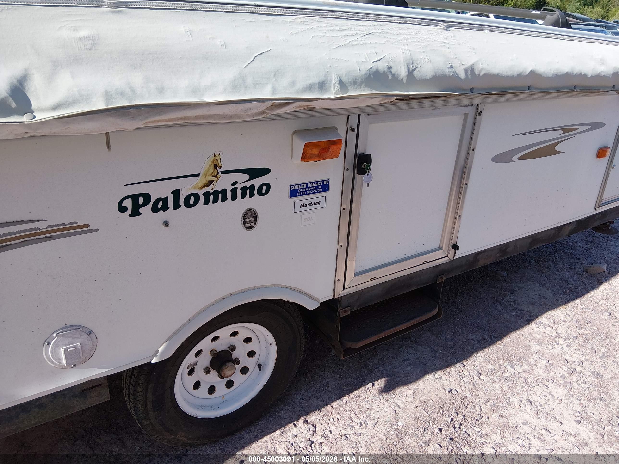 PALOMINO MUSTANG image 5