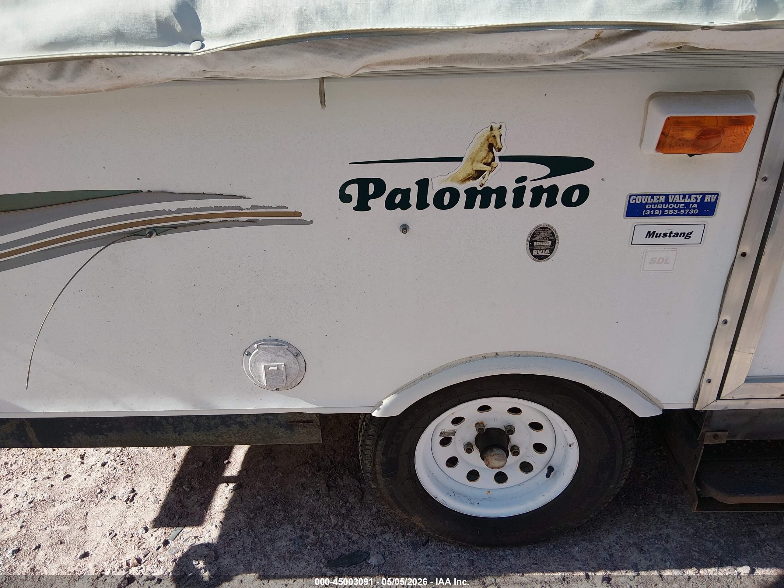 PALOMINO MUSTANG image 7