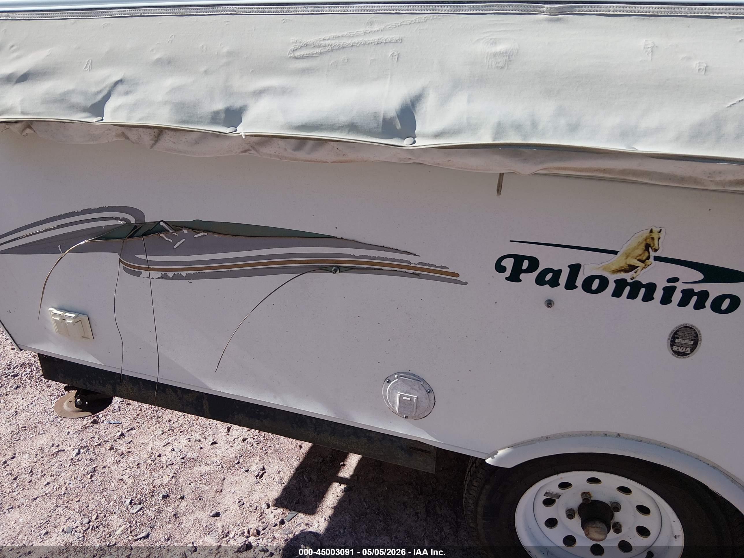 PALOMINO MUSTANG image 8