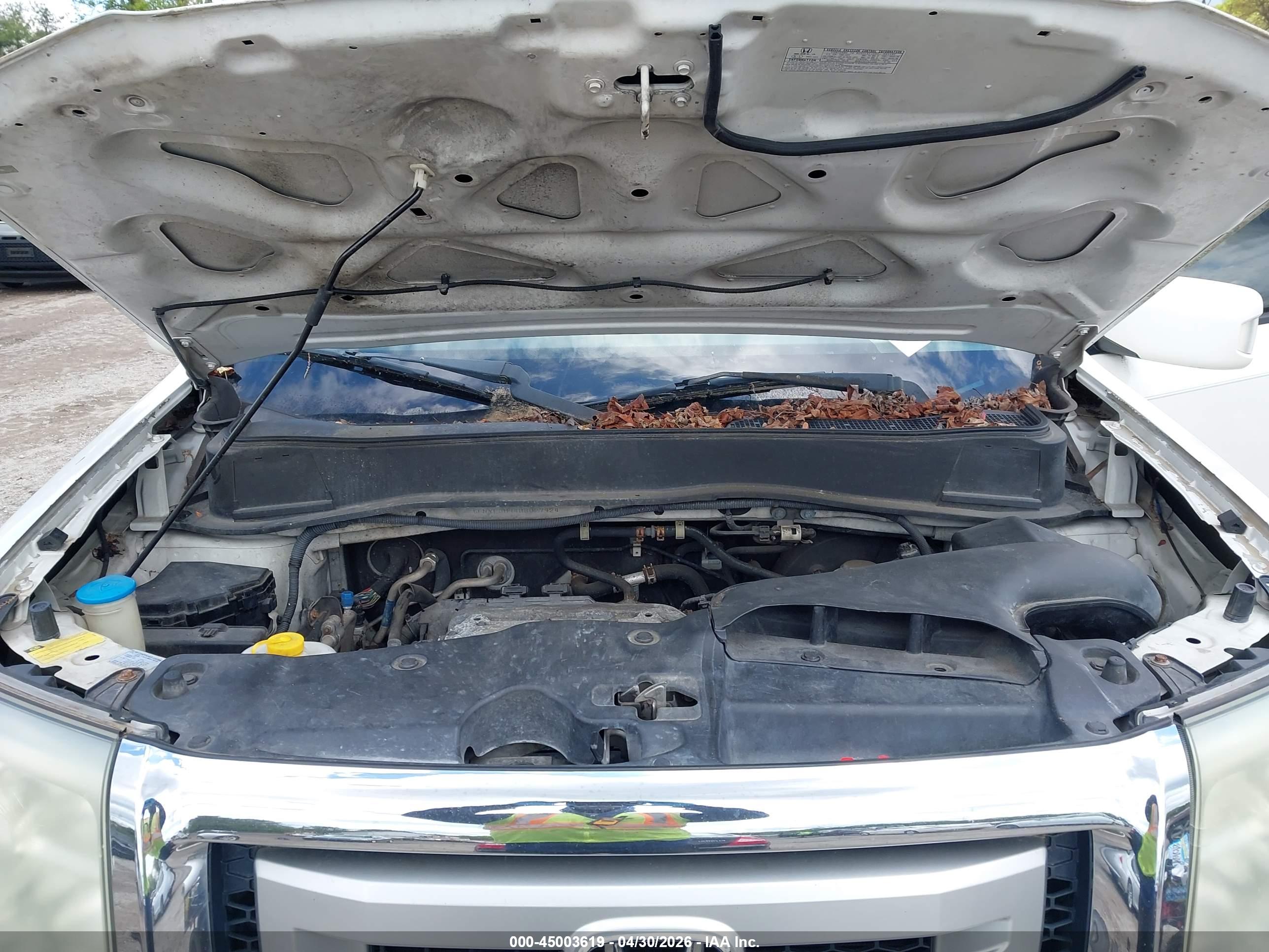 HONDA PILOT image 10