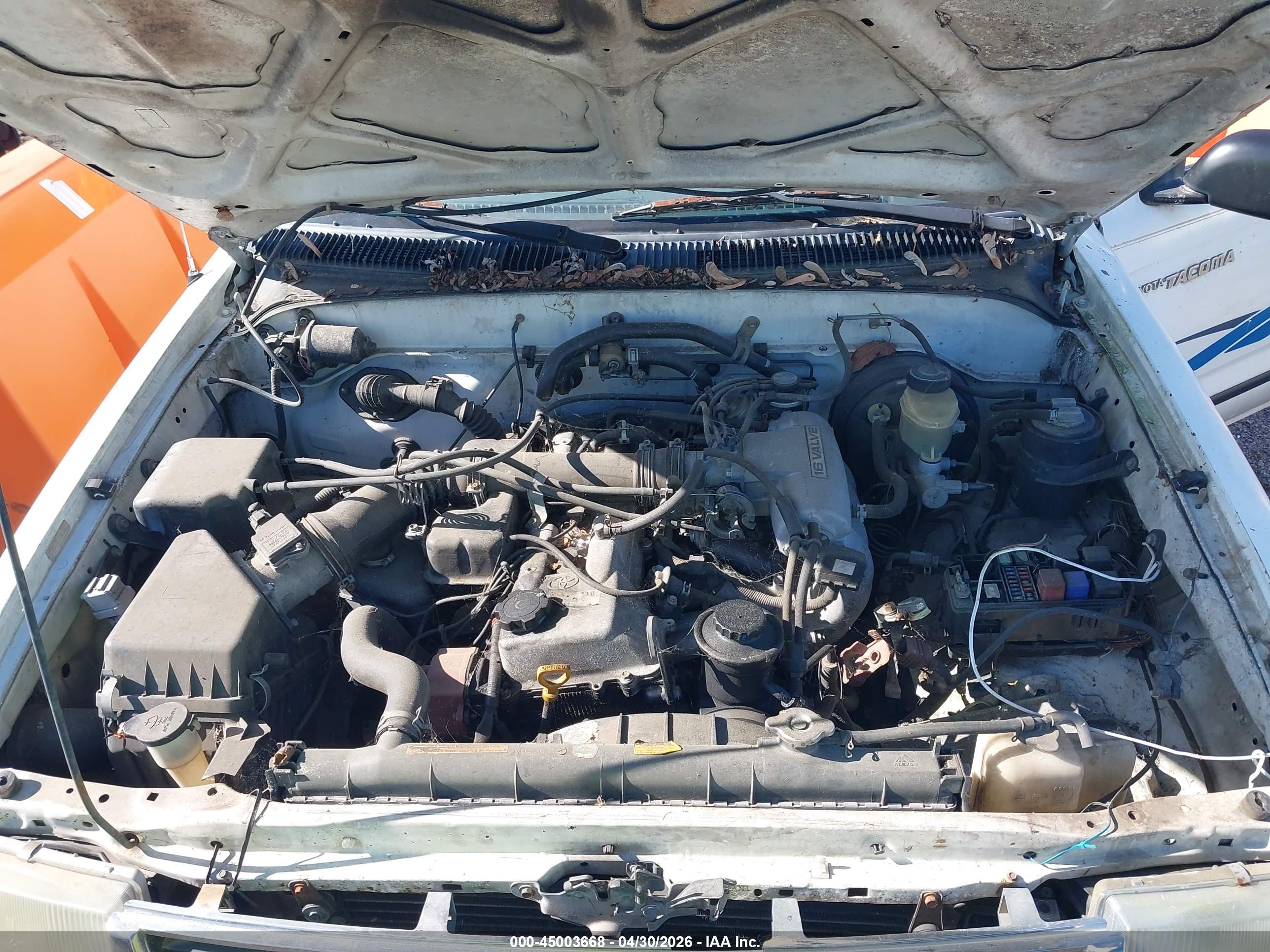 TOYOTA TACOMA image 10