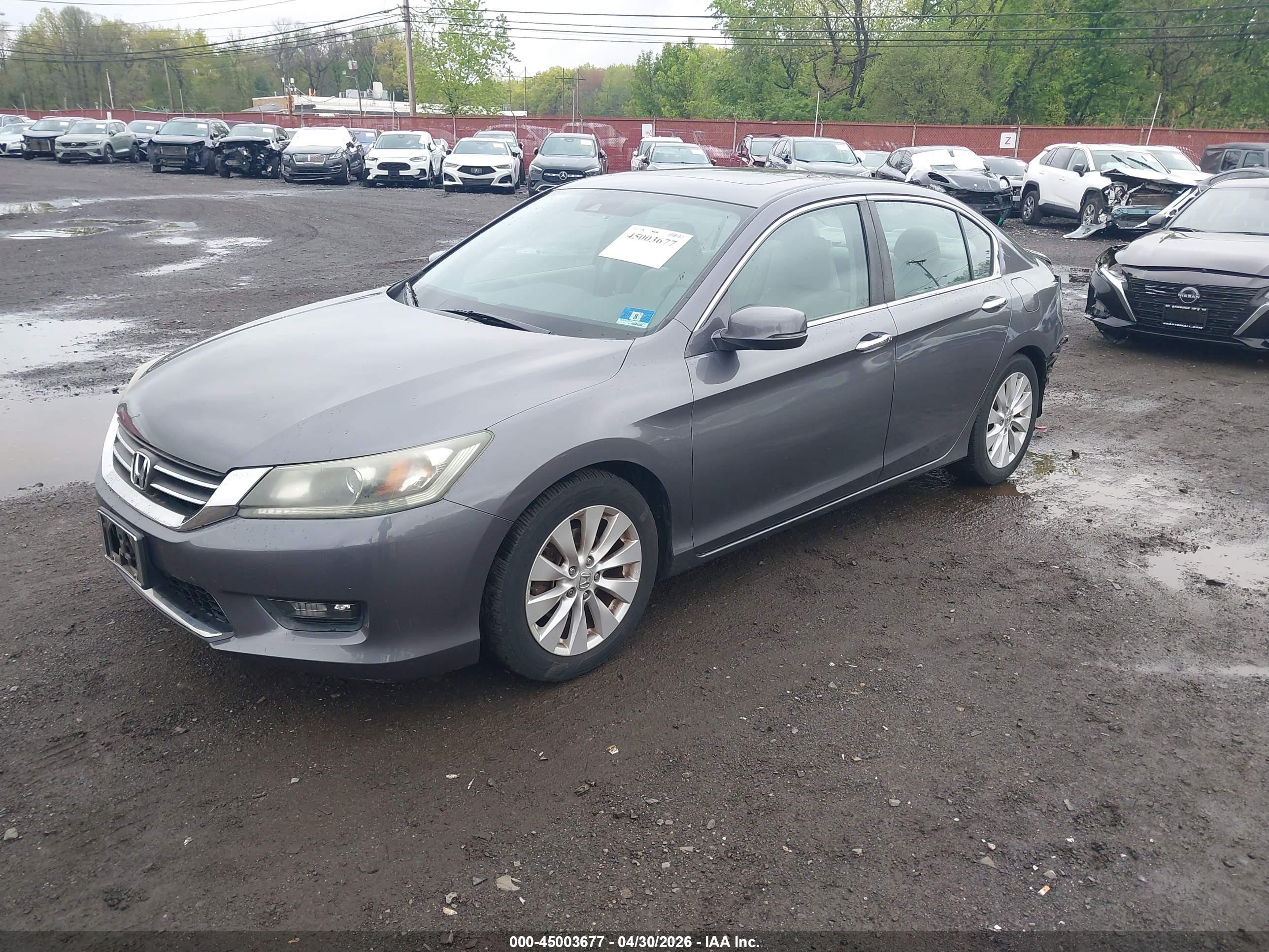 HONDA ACCORD image 2