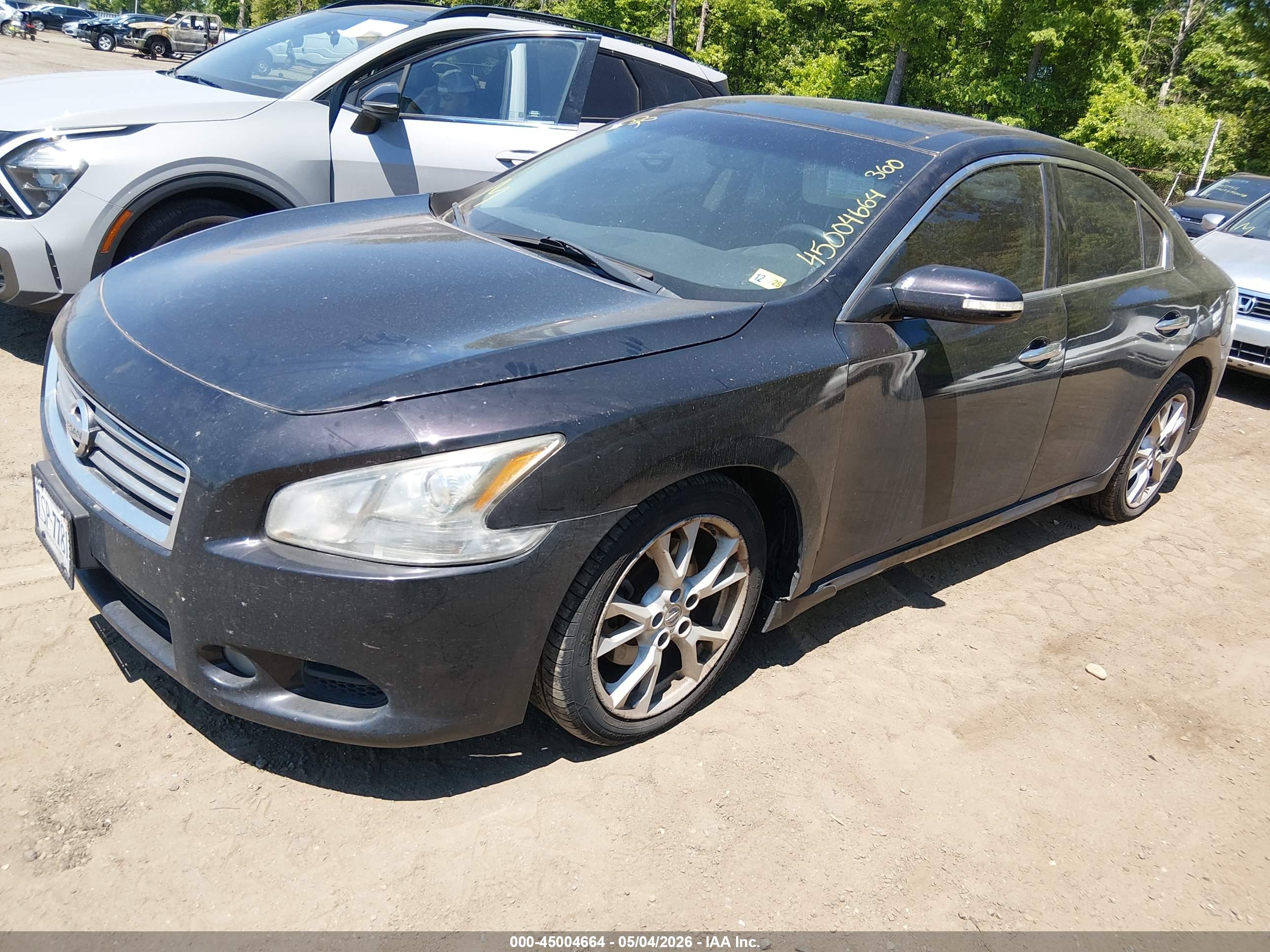 NISSAN MAXIMA image 2