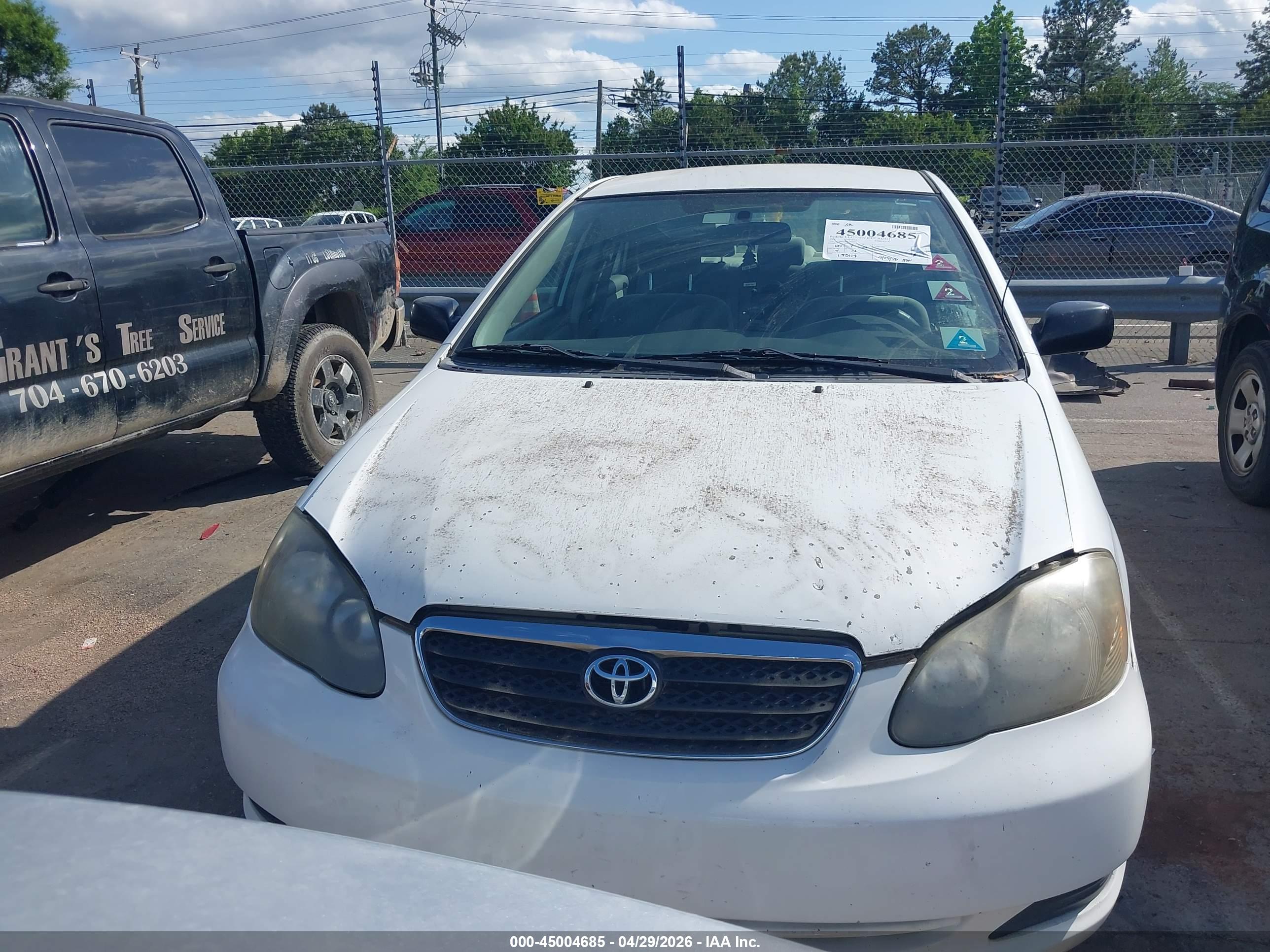 TOYOTA COROLLA image 6