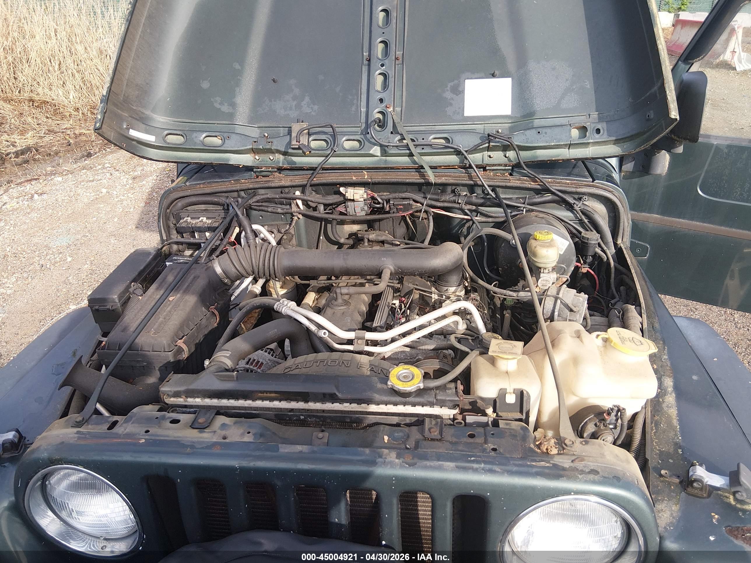 JEEP WRANGLER image 10