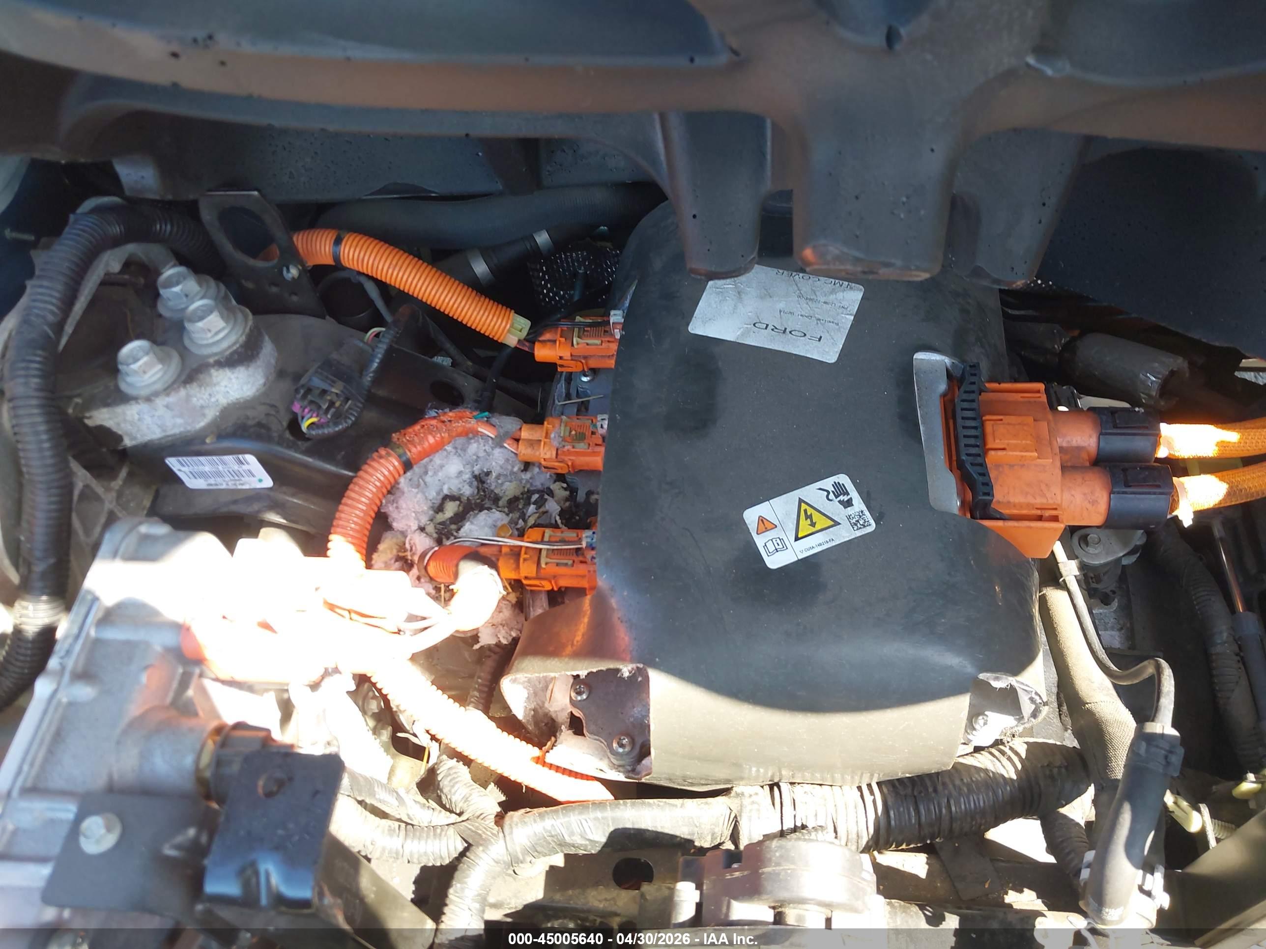 FORD FOCUS image 6