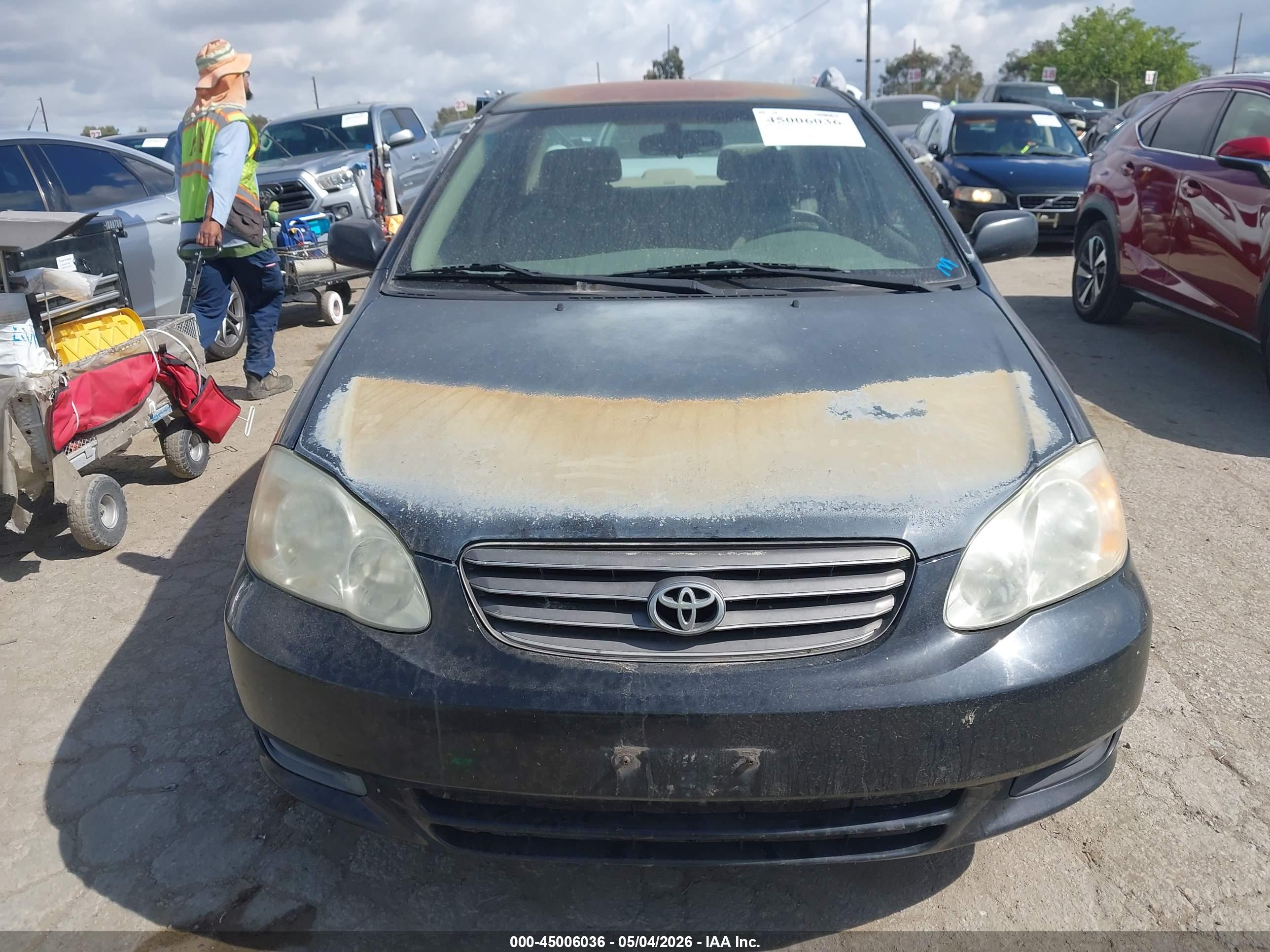 TOYOTA COROLLA image 6