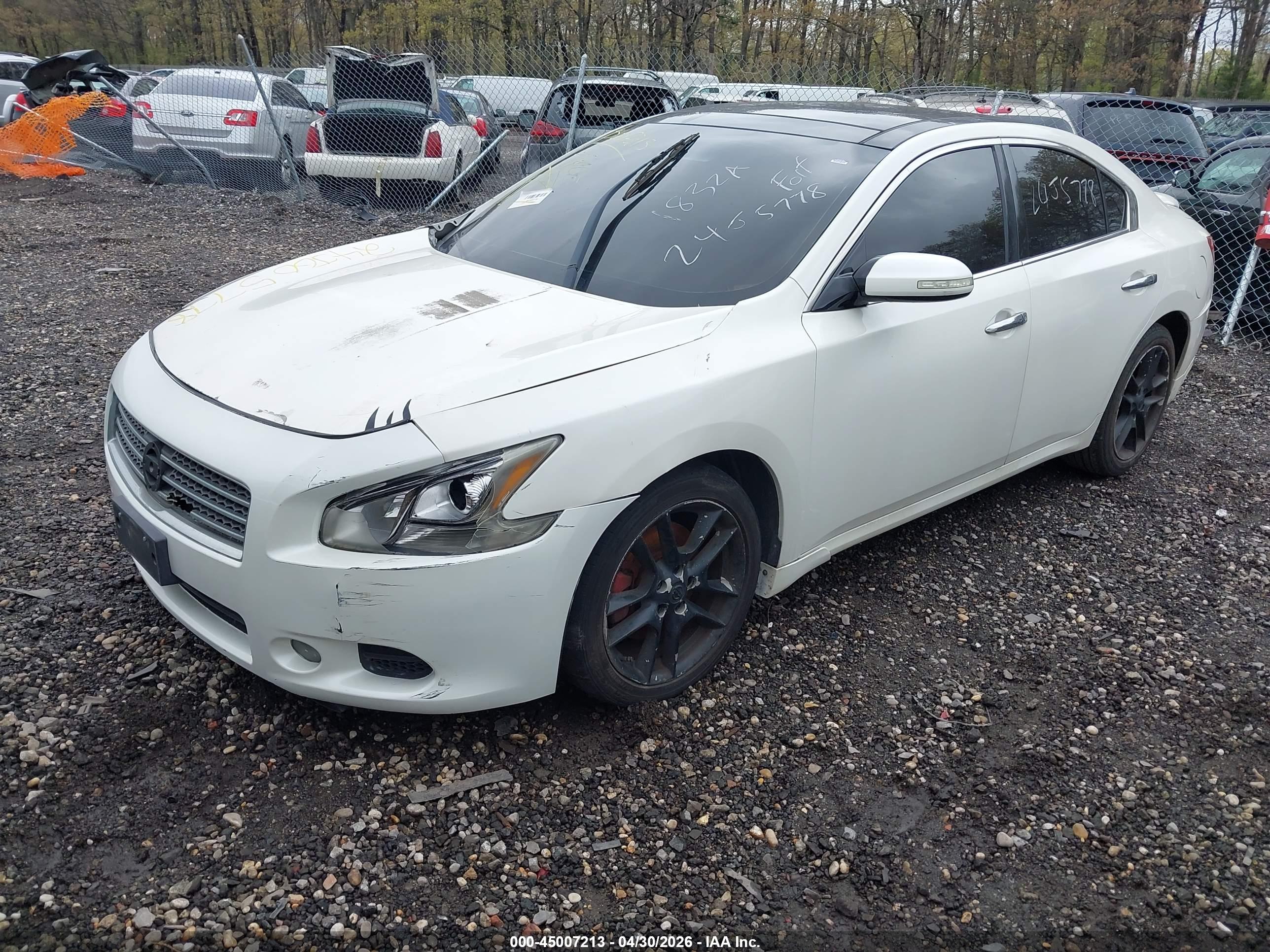 NISSAN MAXIMA image 2