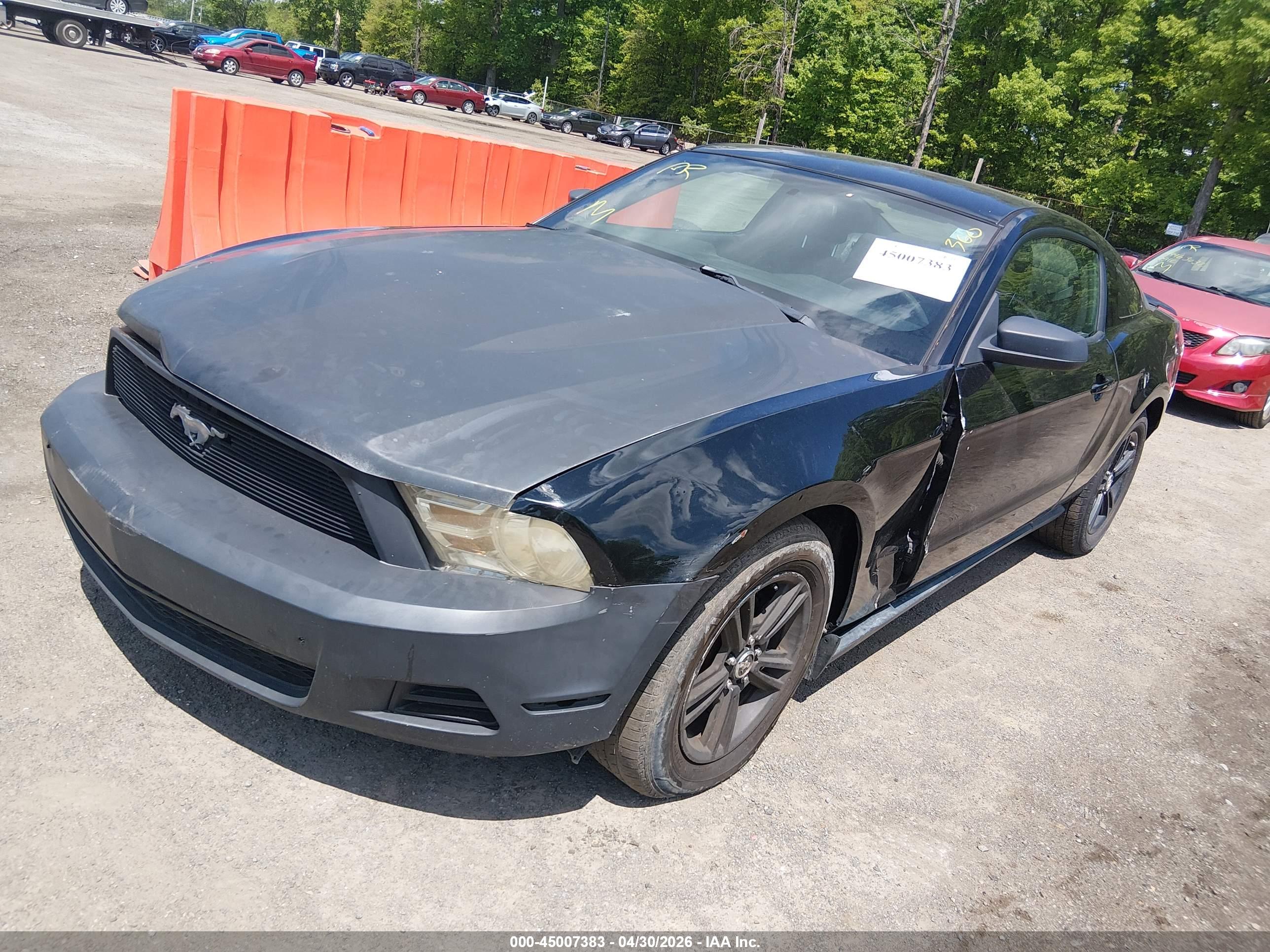 FORD MUSTANG image 2