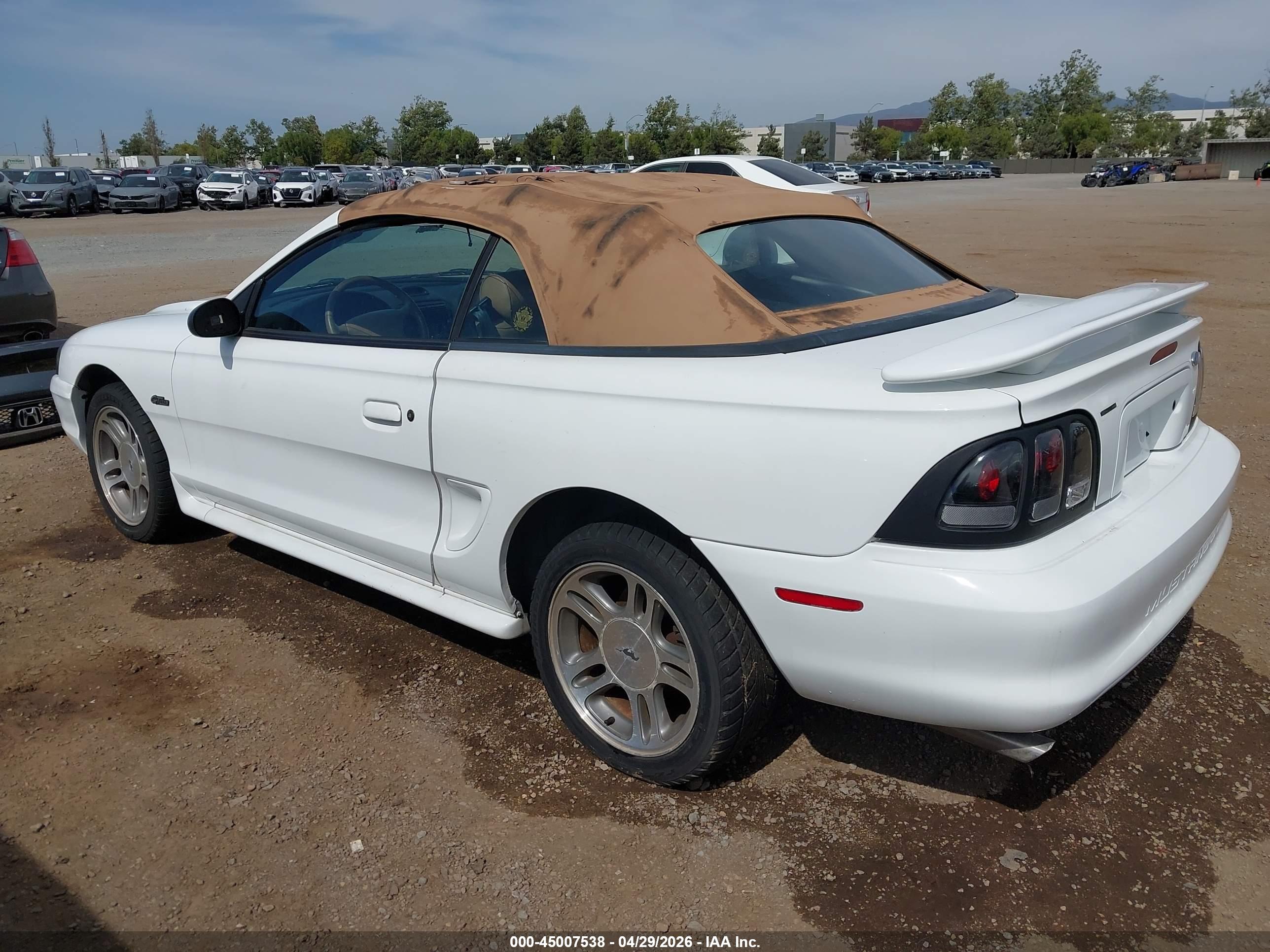FORD MUSTANG image 3
