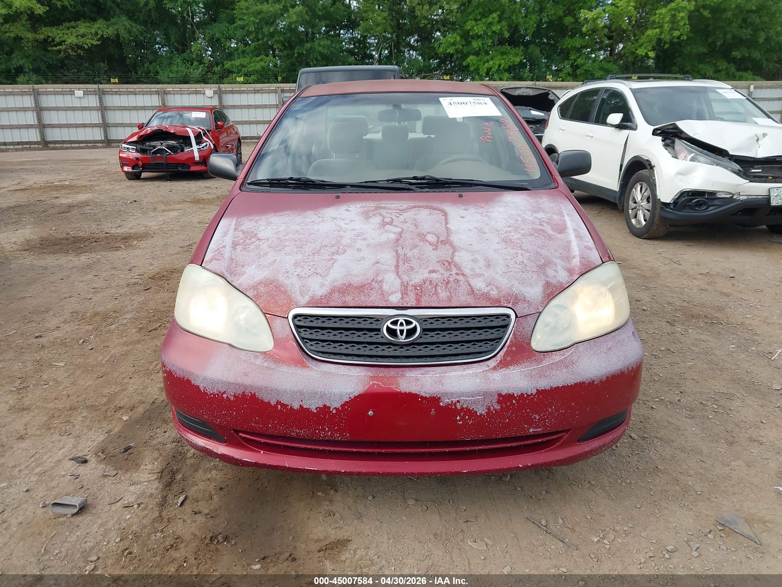 TOYOTA COROLLA image 6