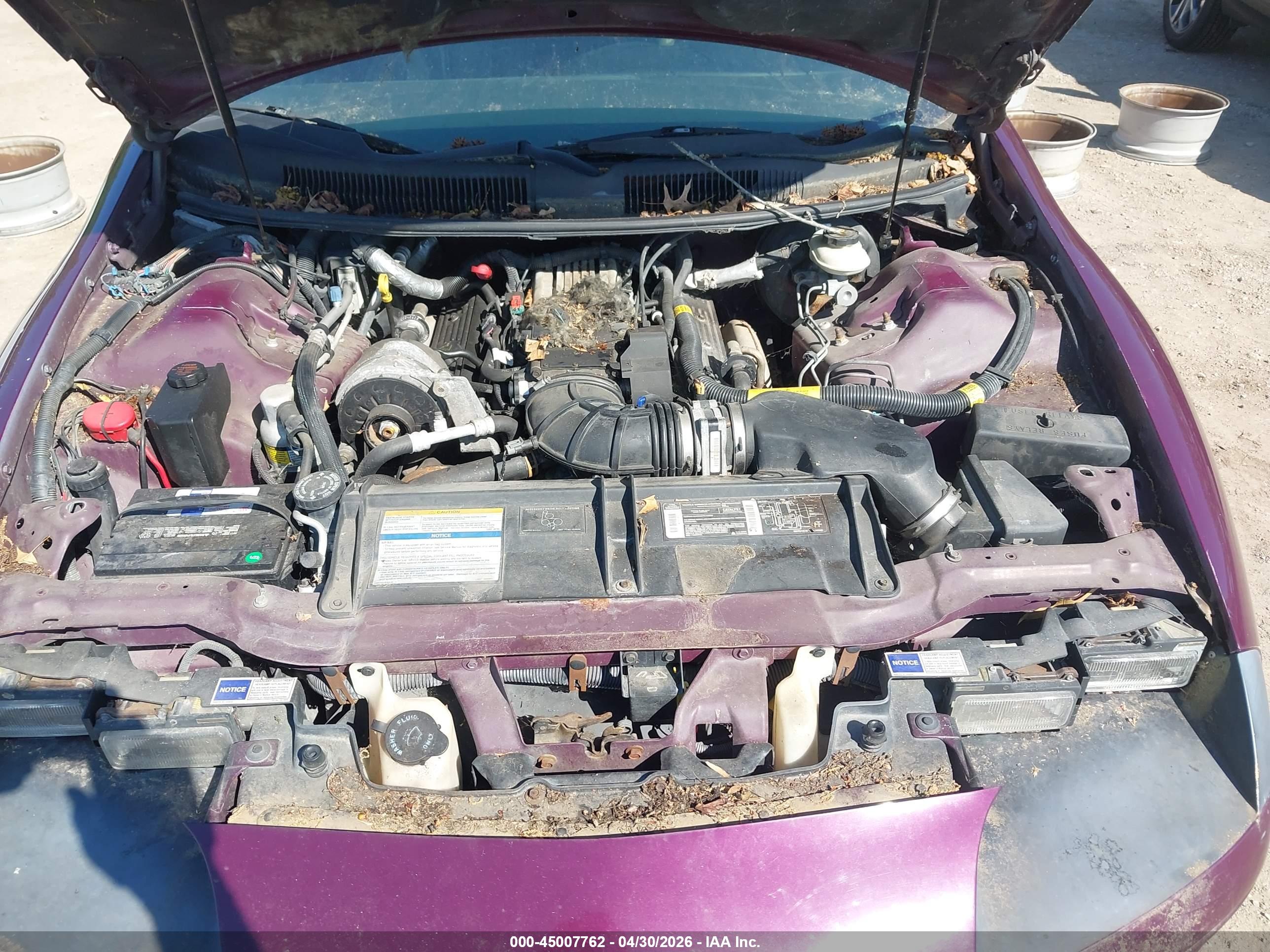 CHEVROLET CAMARO image 10