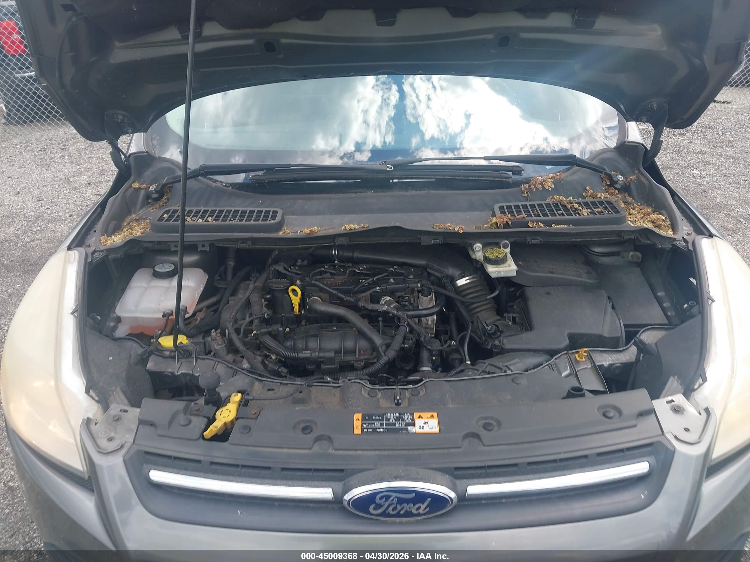 FORD ESCAPE image 10