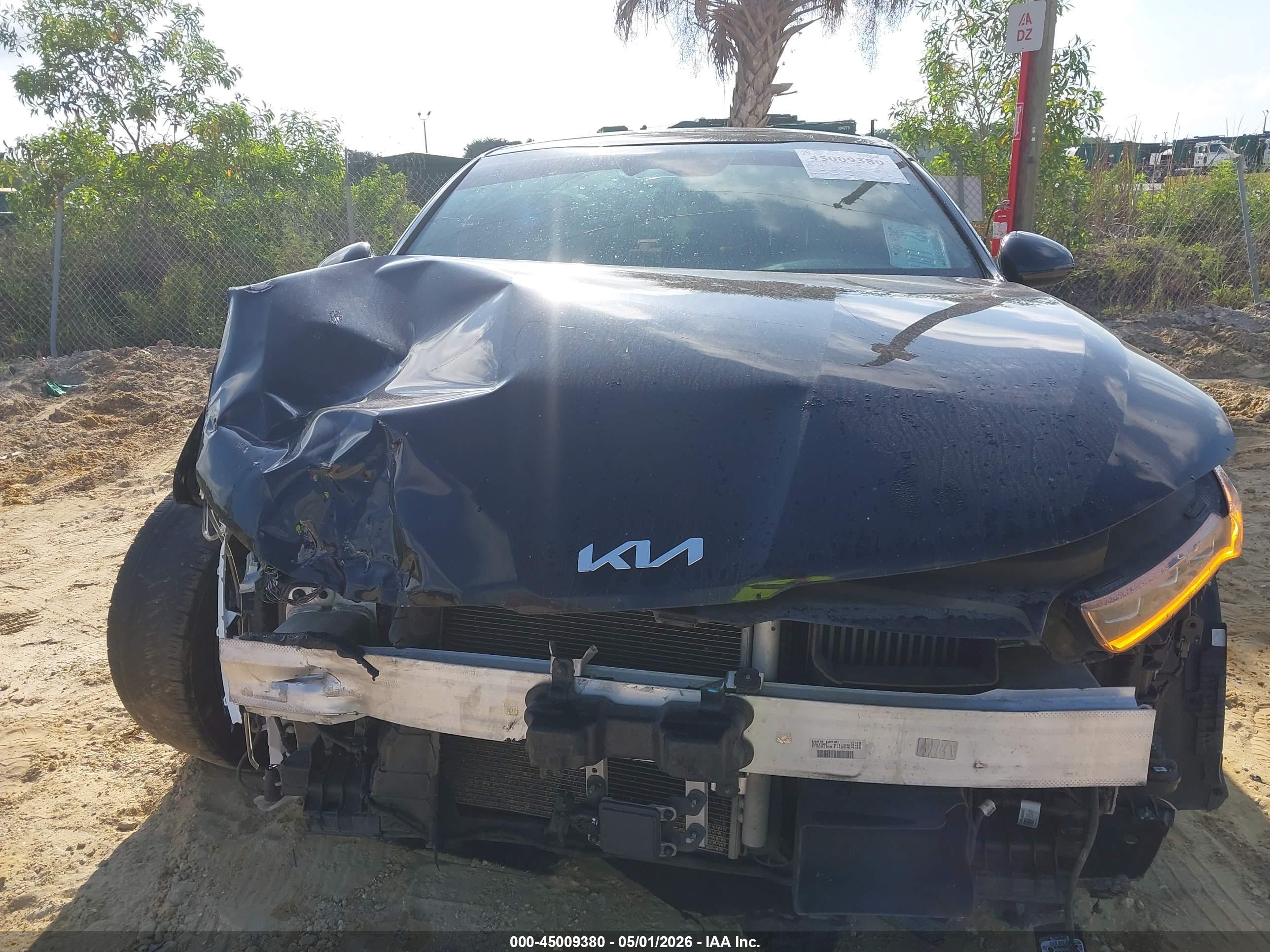 KIA K5 image 6