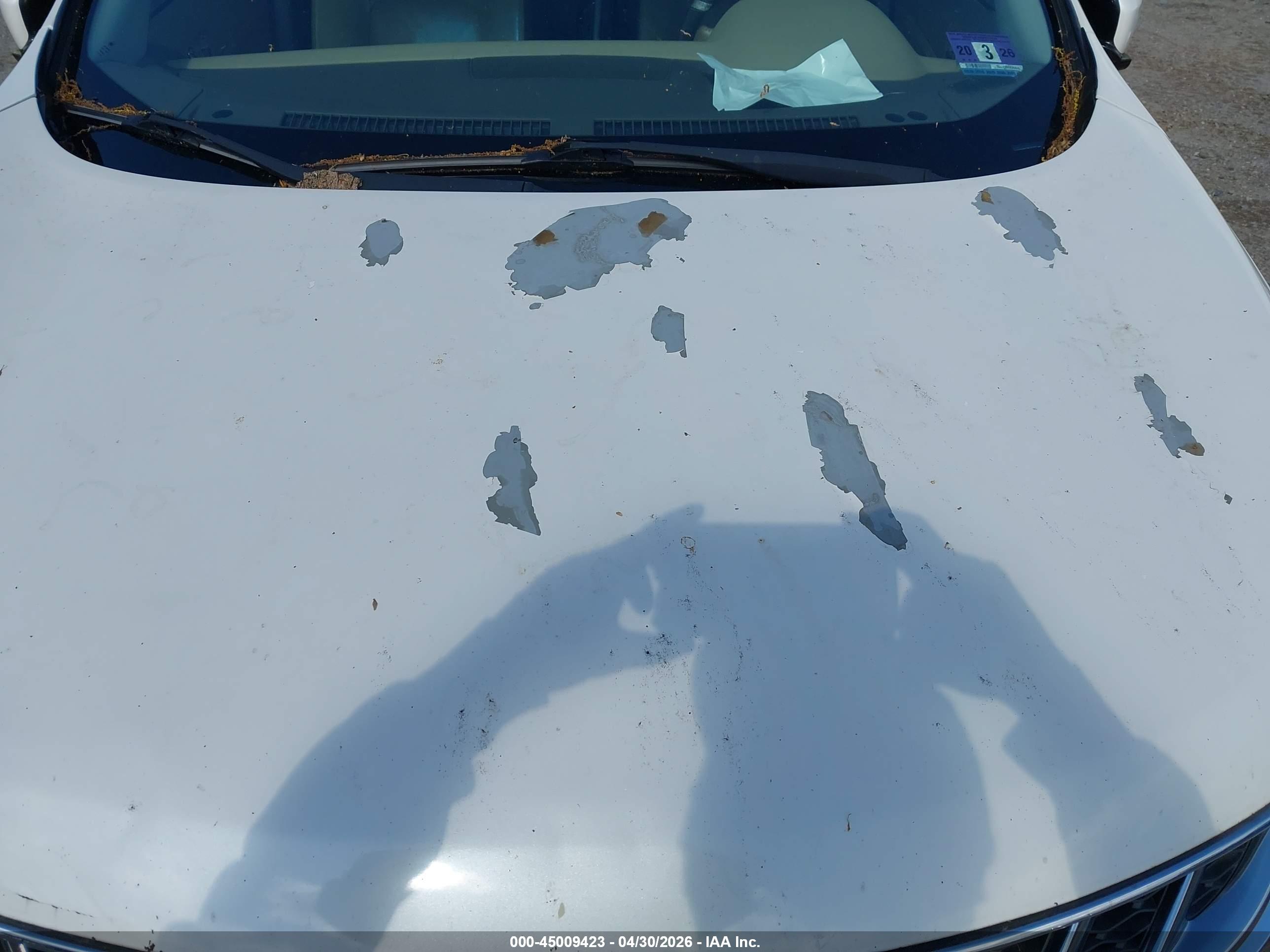 NISSAN MURANO image 6