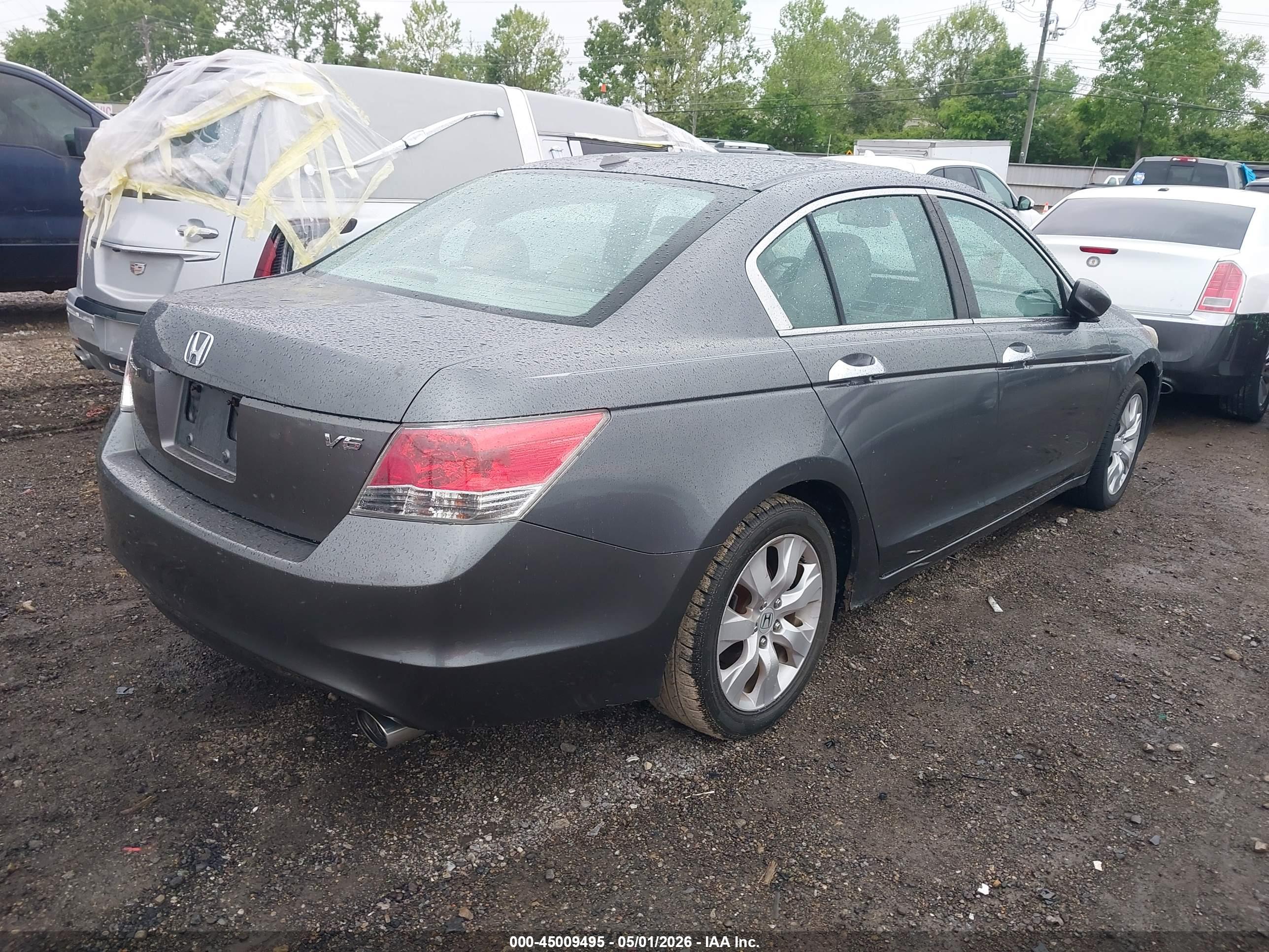 HONDA ACCORD image 4
