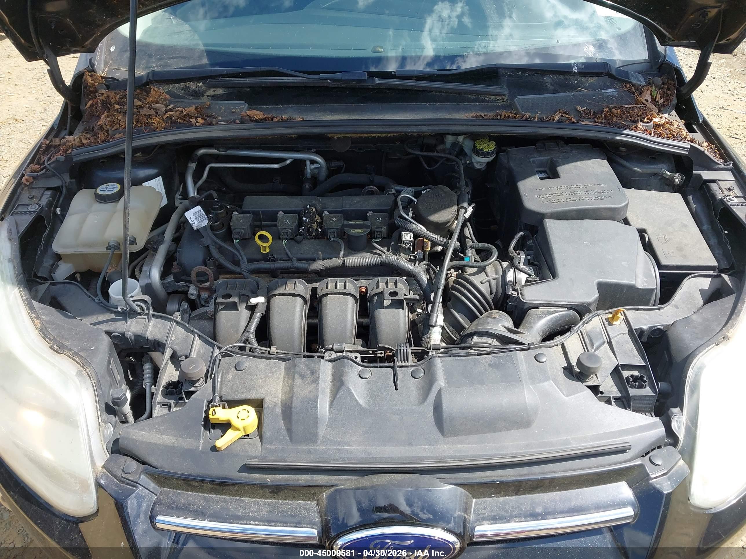 FORD FOCUS image 10