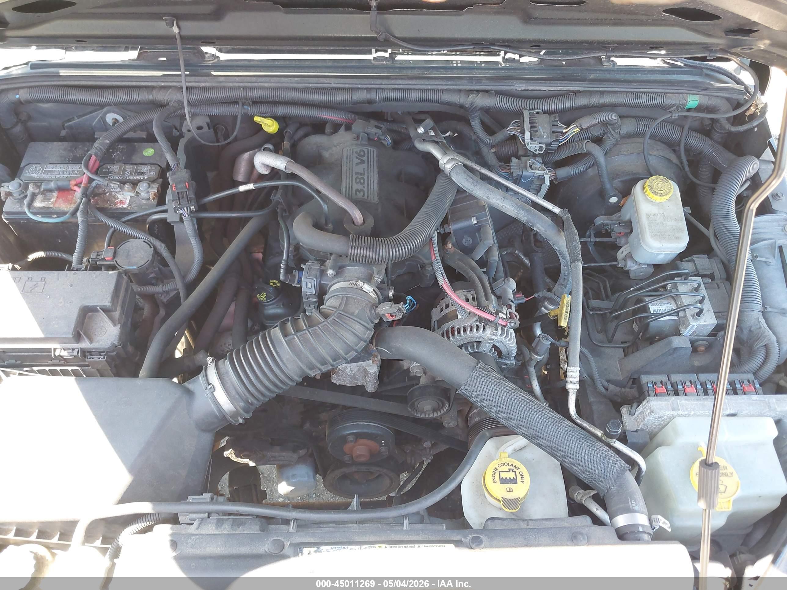 JEEP WRANGLER image 10