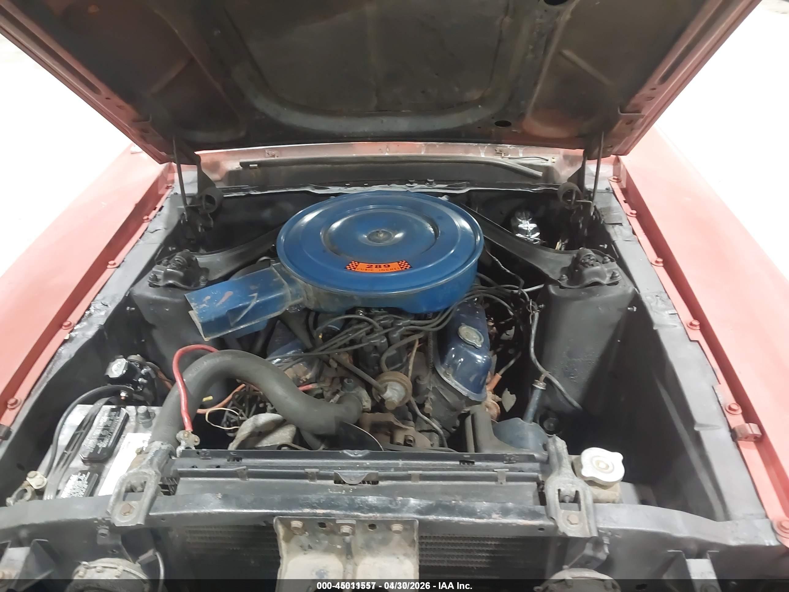 FORD MUSTANG image 10