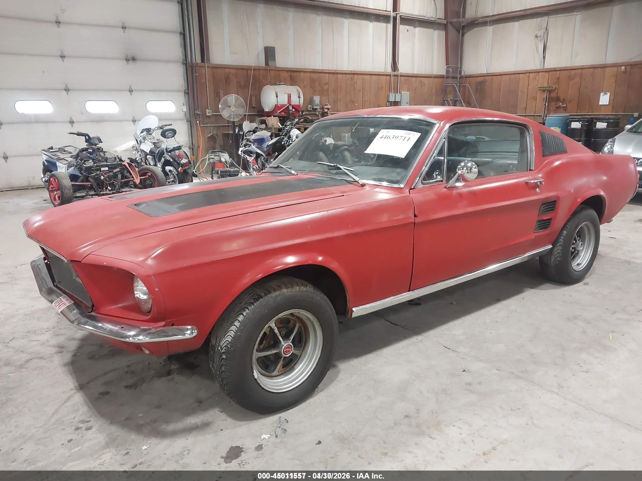 FORD MUSTANG image 2